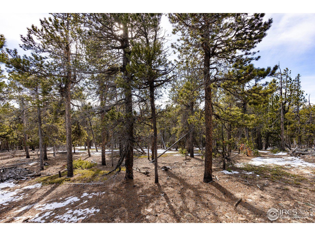 33768 Lyttle Dowdle Dr