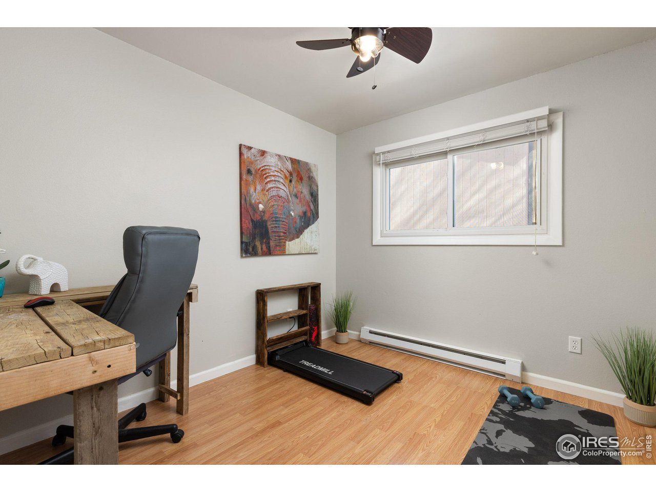 8312 Mummy Range Dr