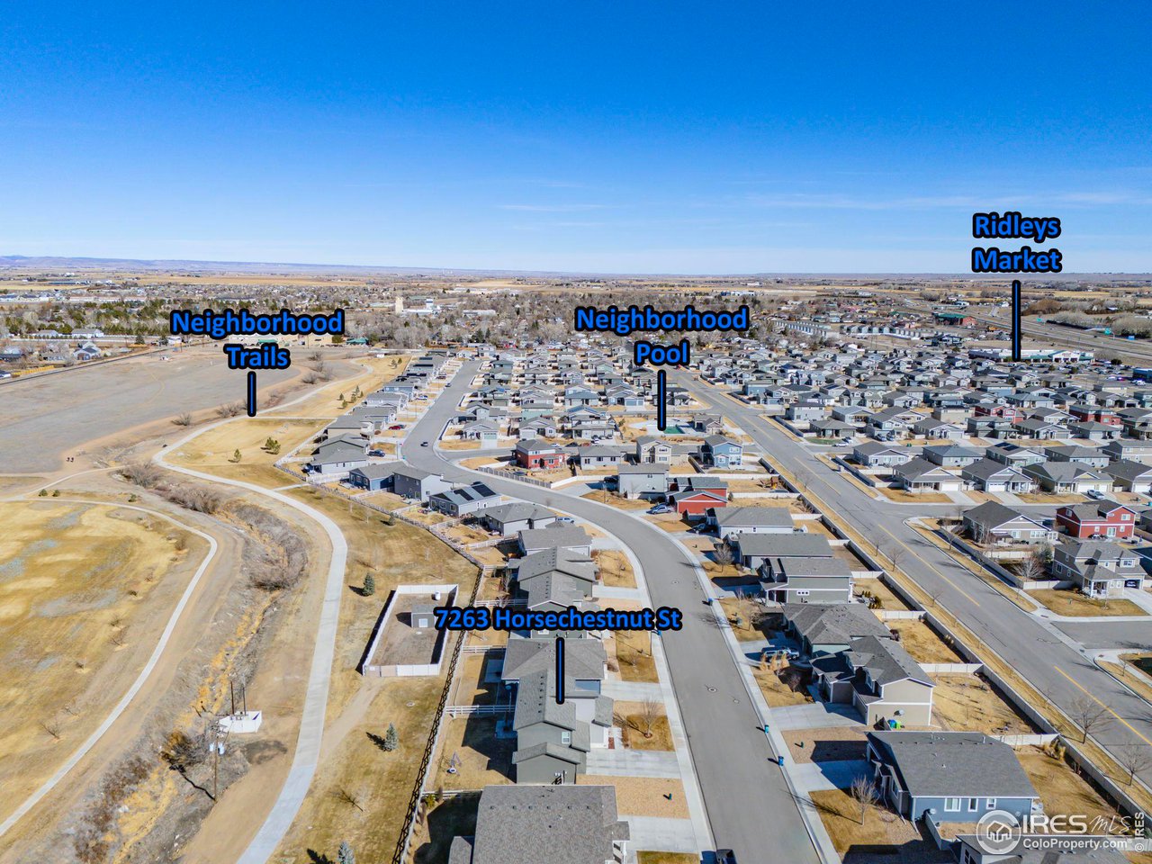 7263 Horsechestnut St