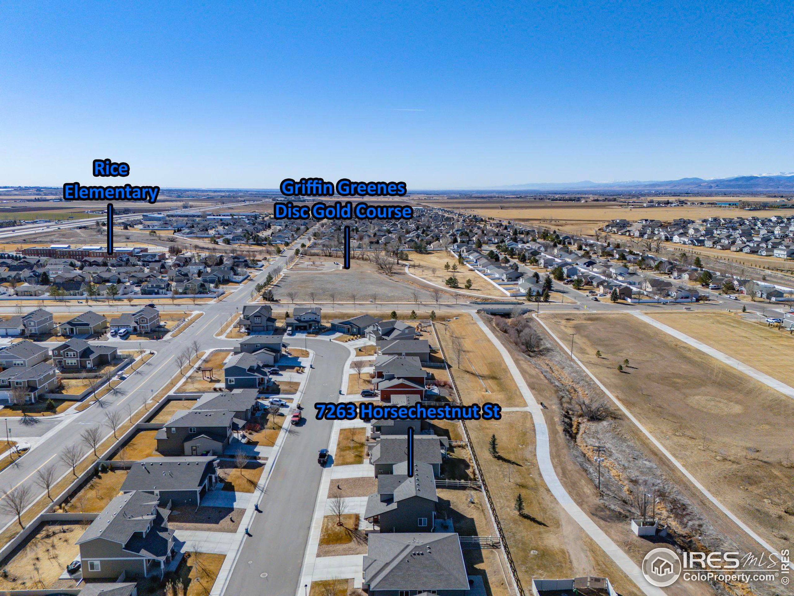 7263 Horsechestnut St