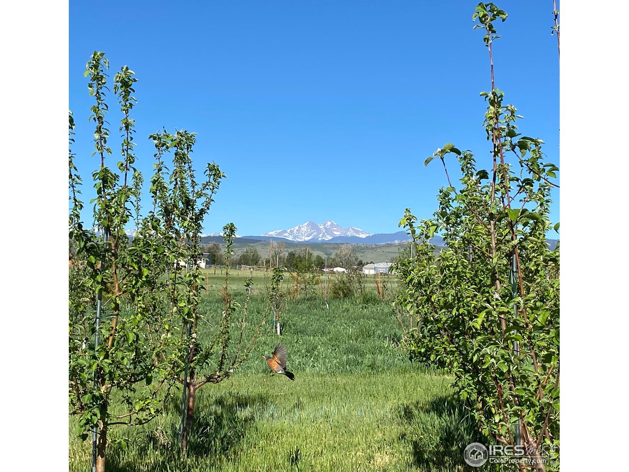 3428 W County Road 4