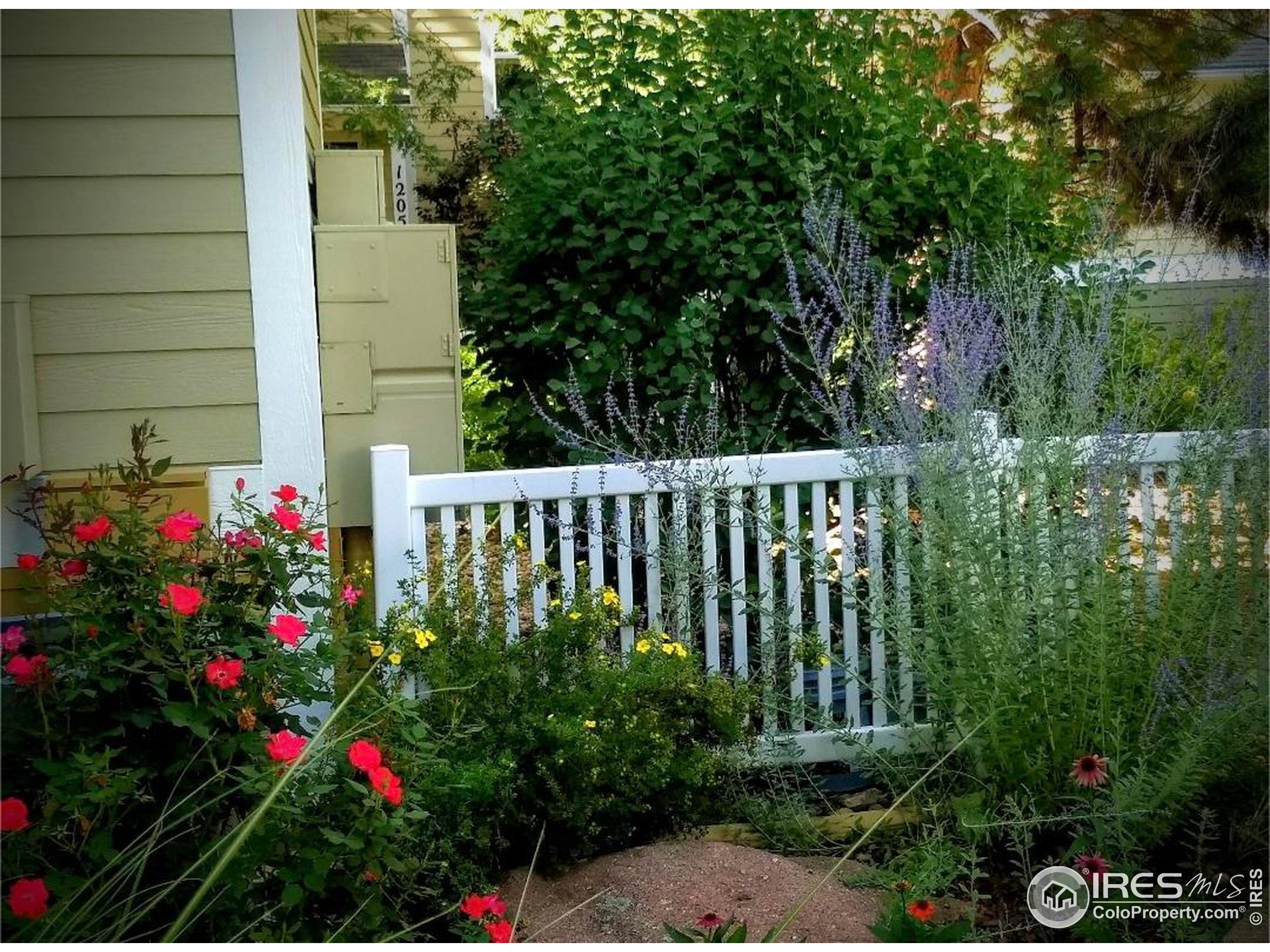 640 Gooseberry Dr 1103