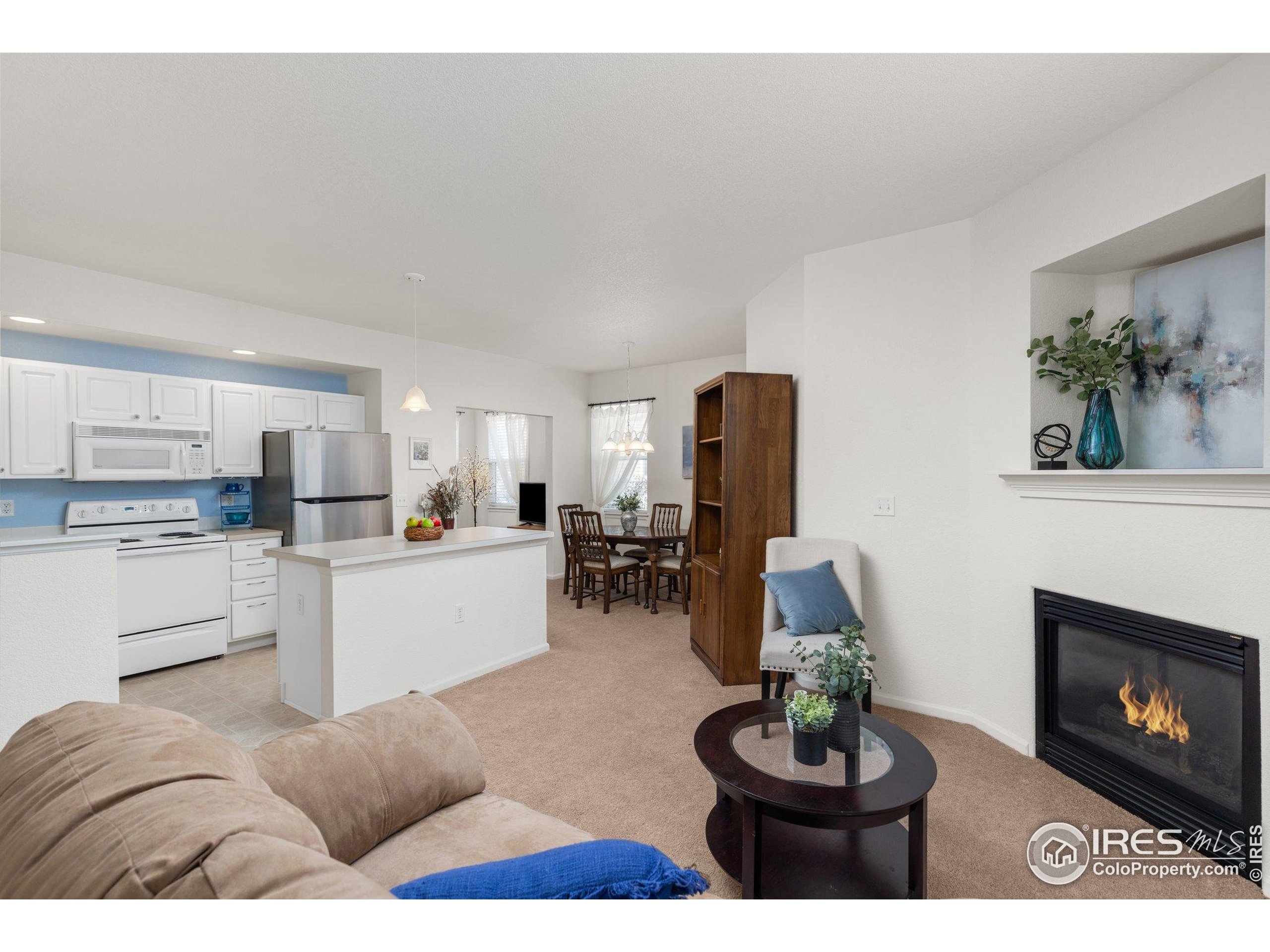 640 Gooseberry Dr 1103