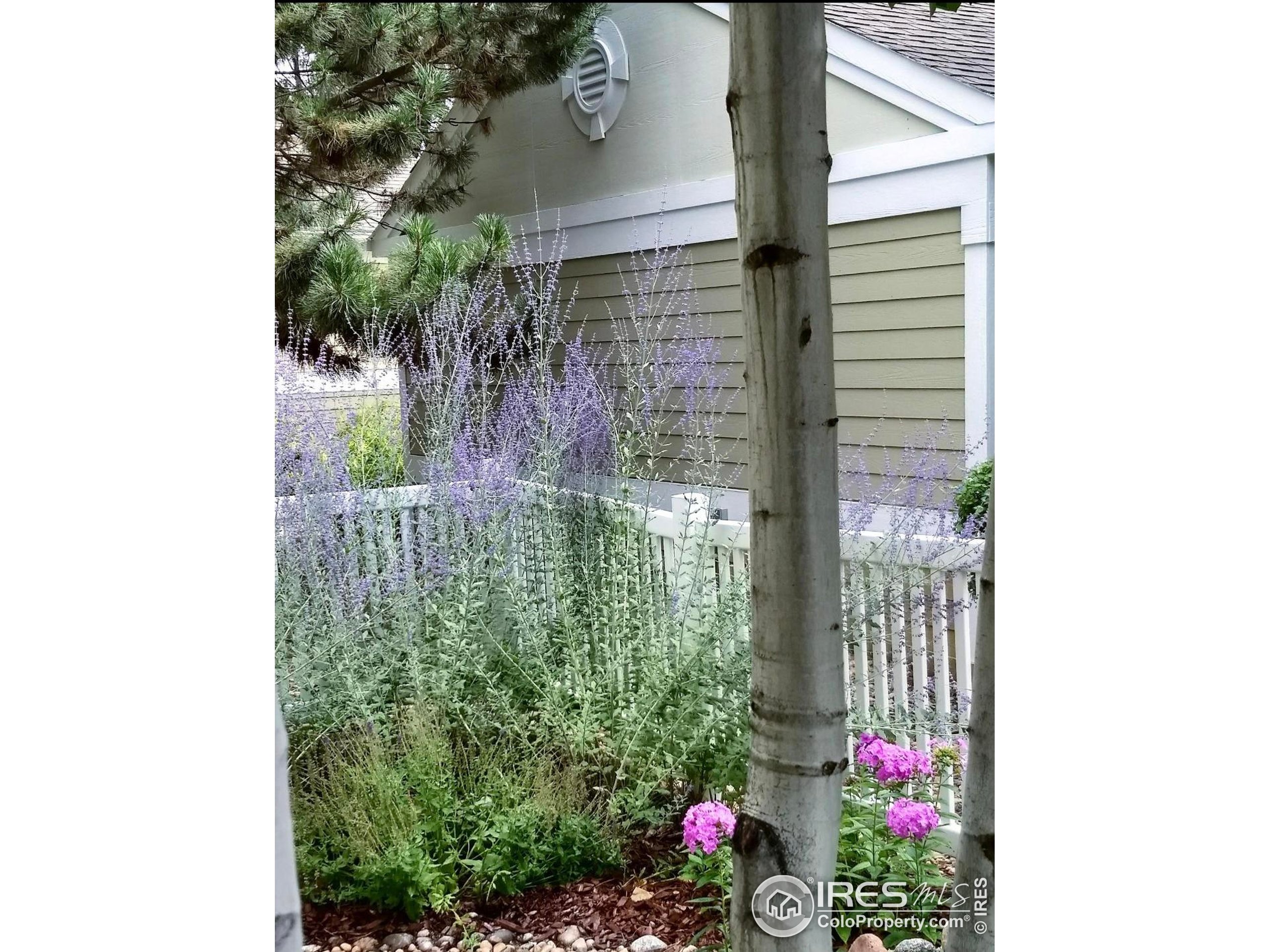 640 Gooseberry Dr 1103