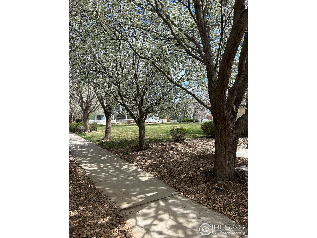 640 Gooseberry Dr 1103