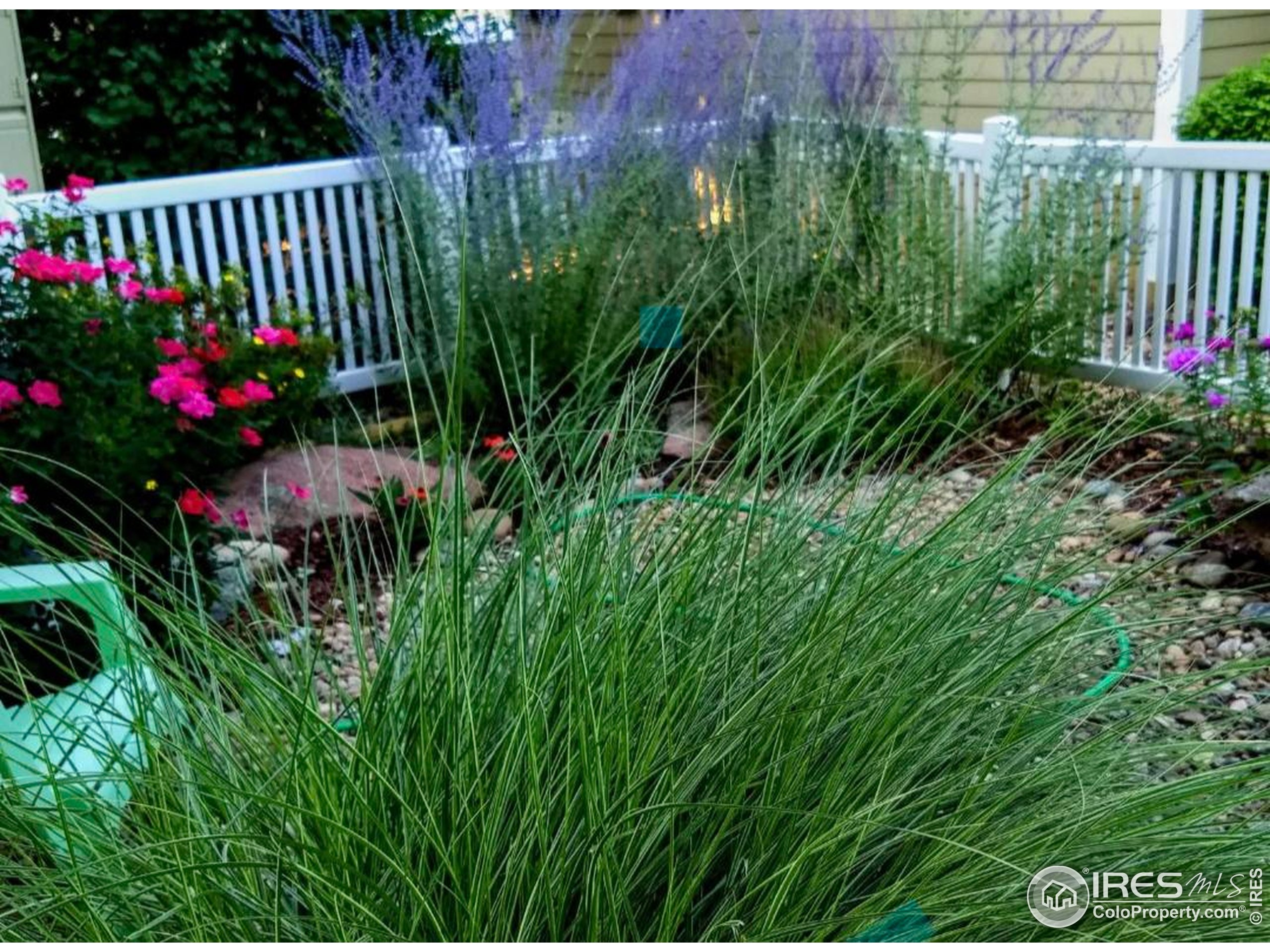 640 Gooseberry Dr 1103