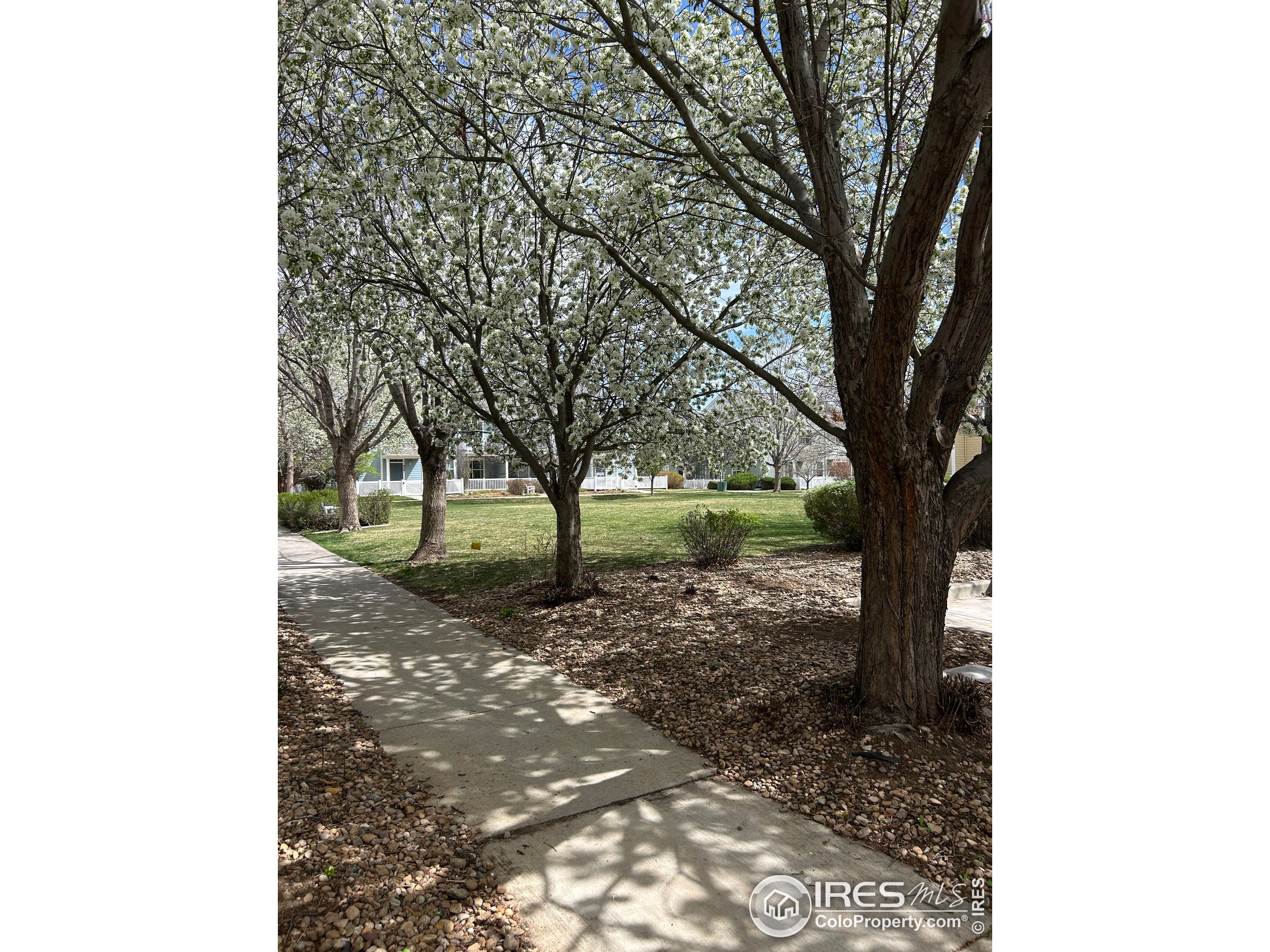 640 Gooseberry Dr 1103