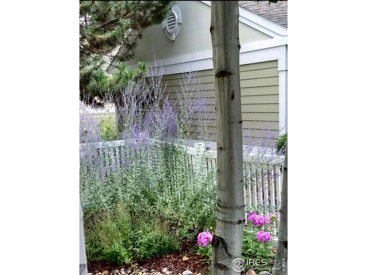 640 Gooseberry Dr 1103