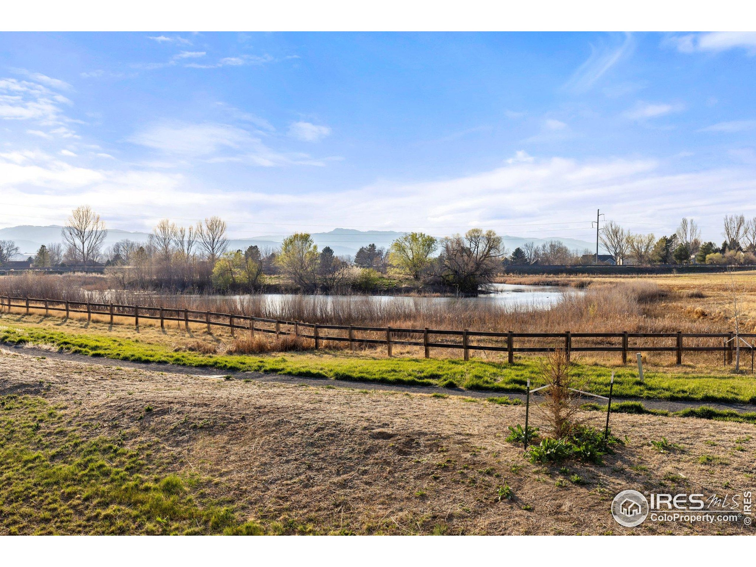 6021 Croaking Toad Dr