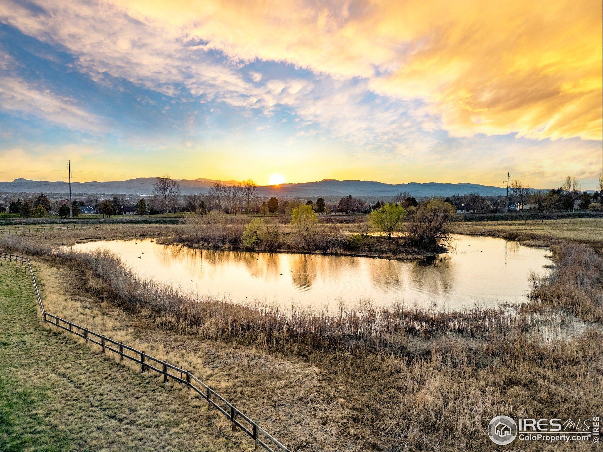 6021 Croaking Toad Dr