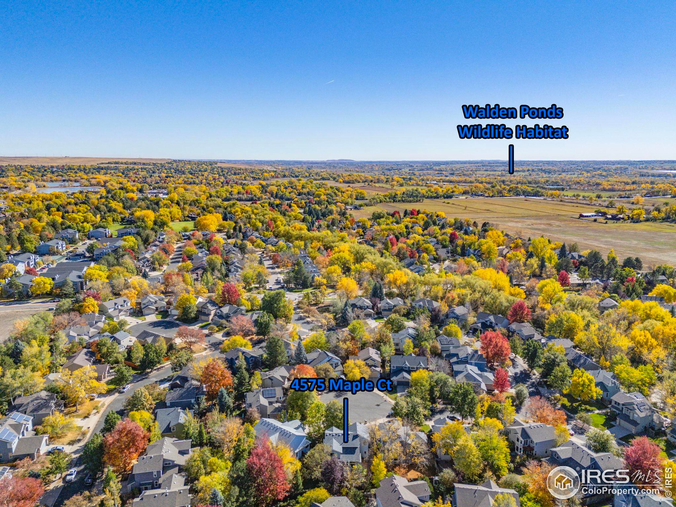 4575 Maple Ct