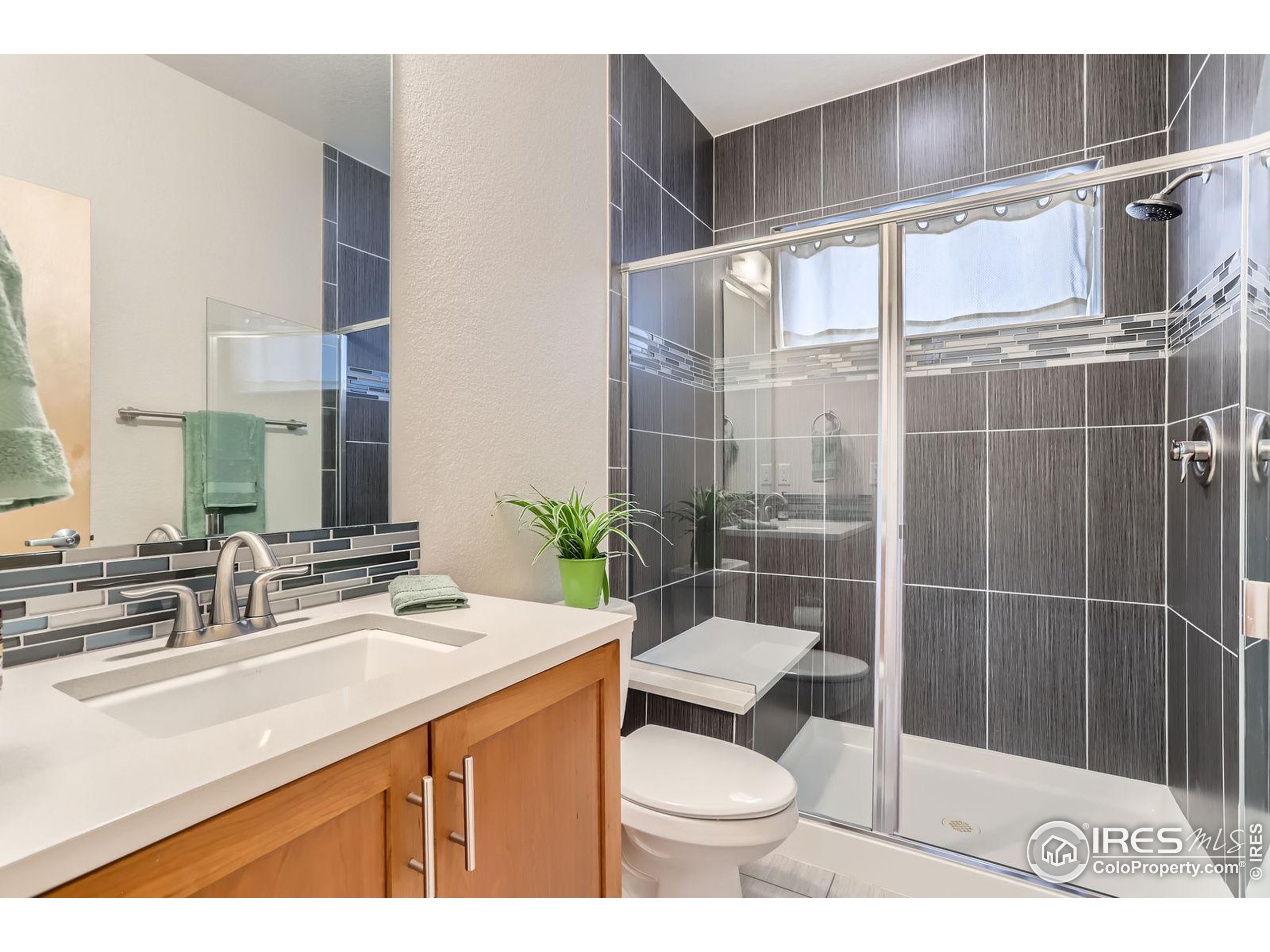 1833 Sweet Clover Ln