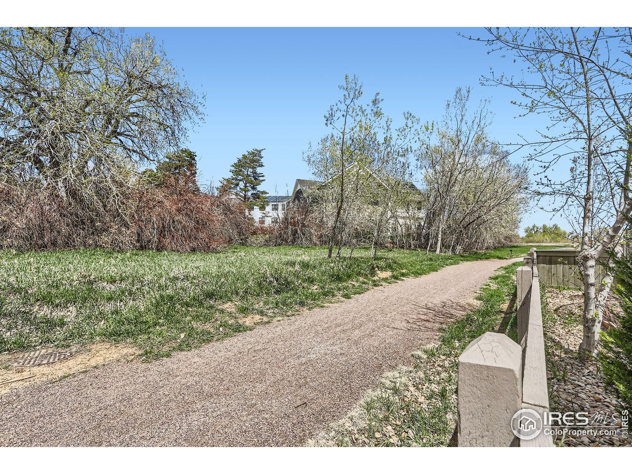 1833 Sweet Clover Ln