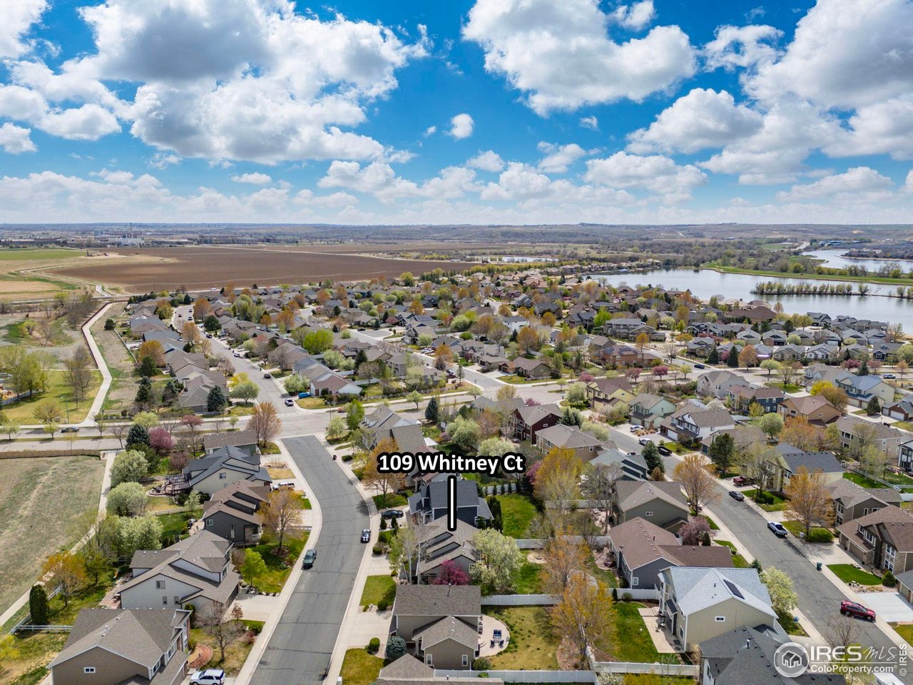 109 Whitney Ct