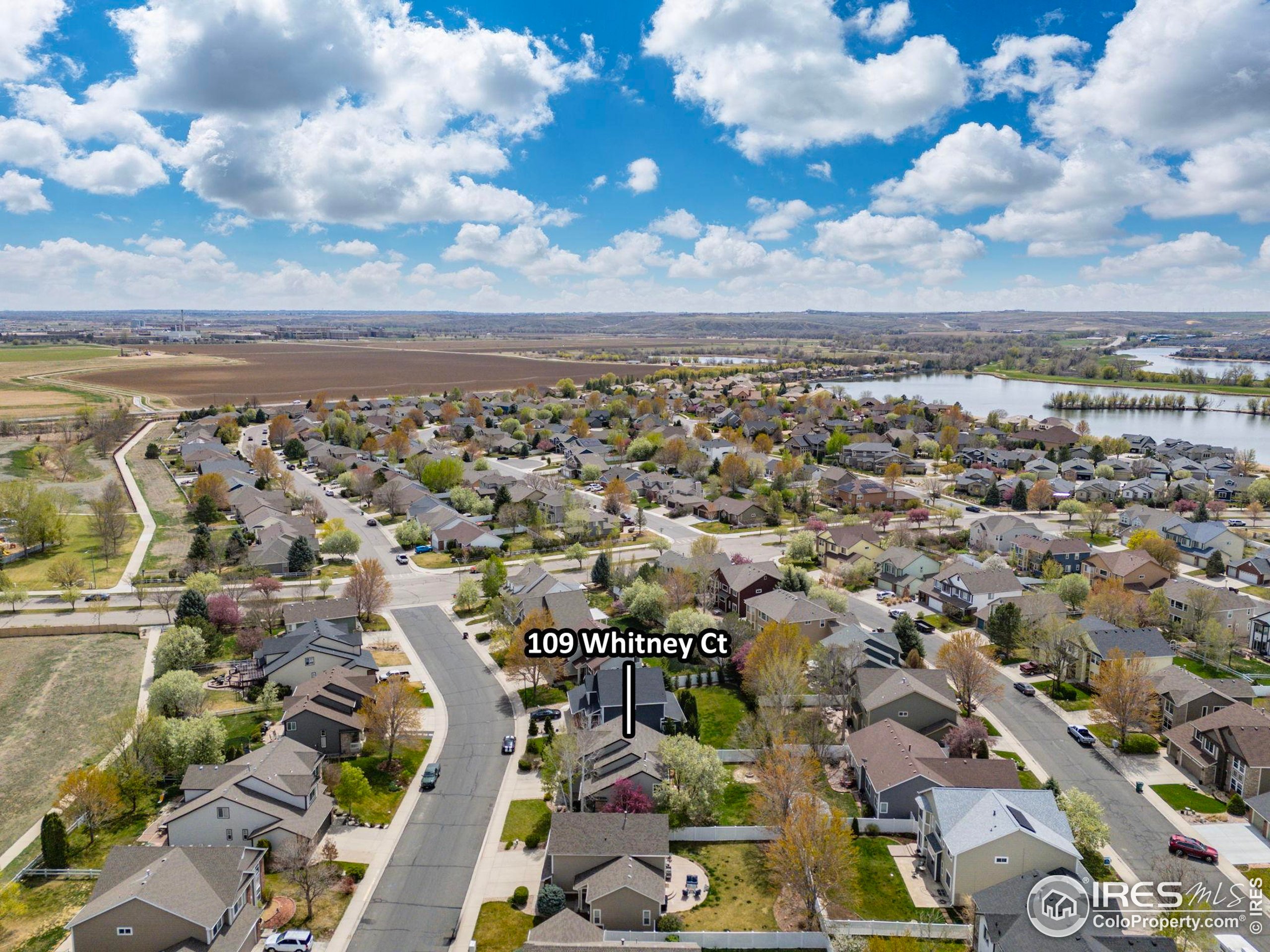 109 Whitney Ct
