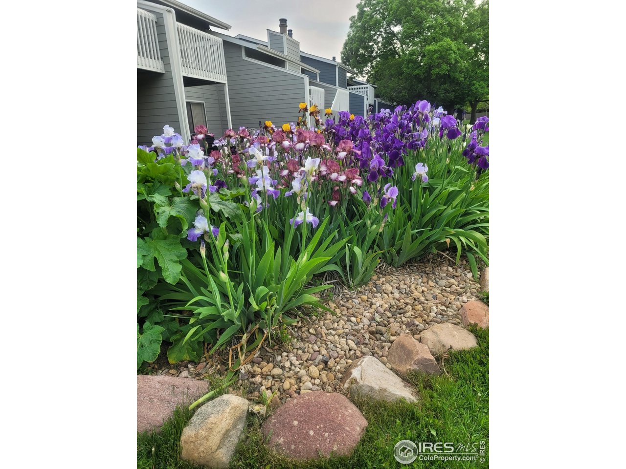 2950 Glenwood Dr