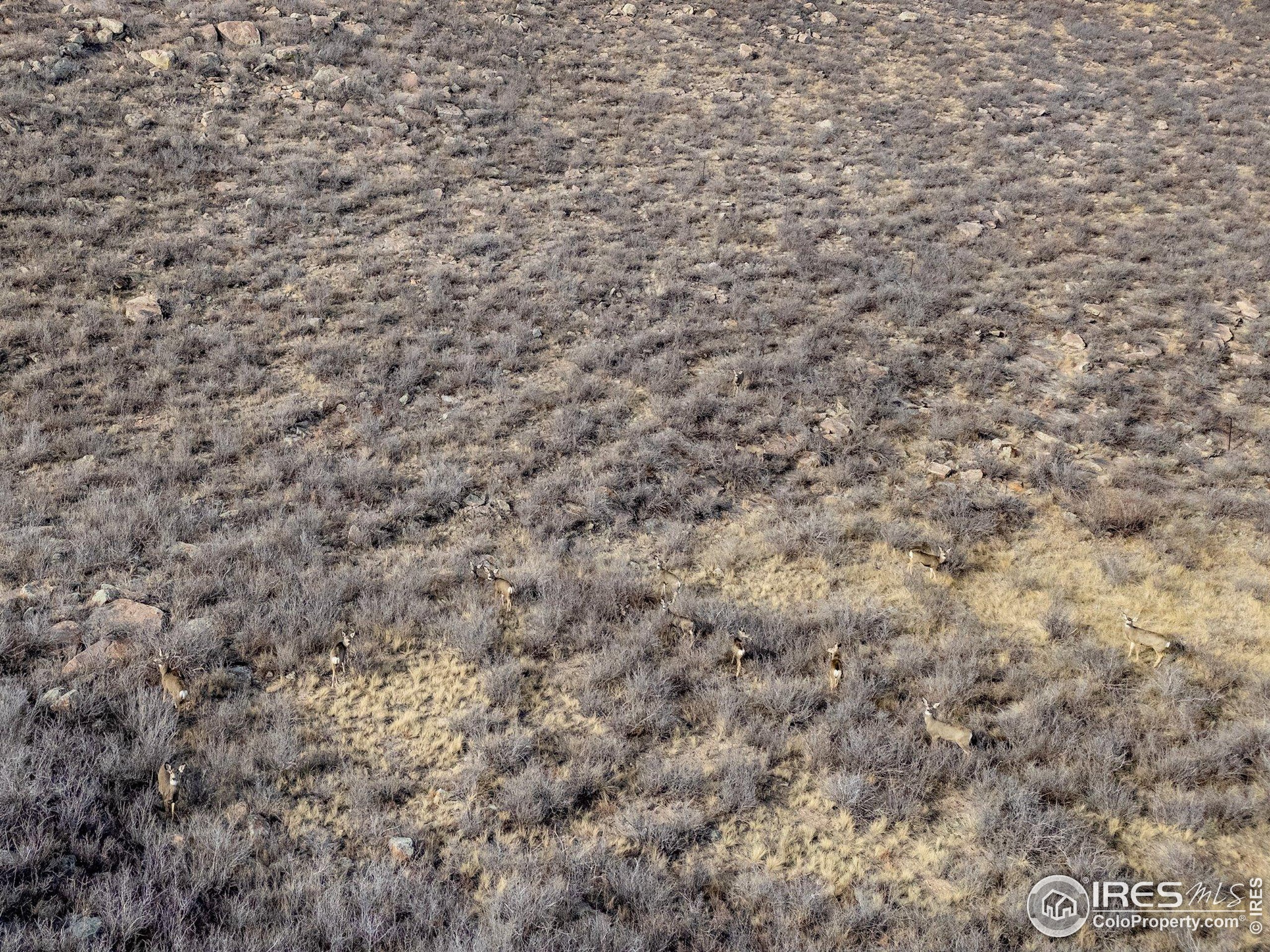 7805 Arapahoe Valley Rd