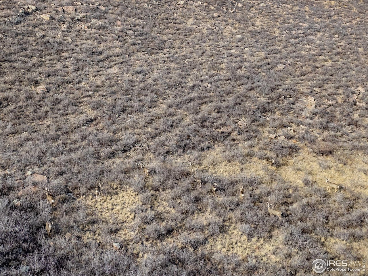 7805 Arapahoe Valley Rd