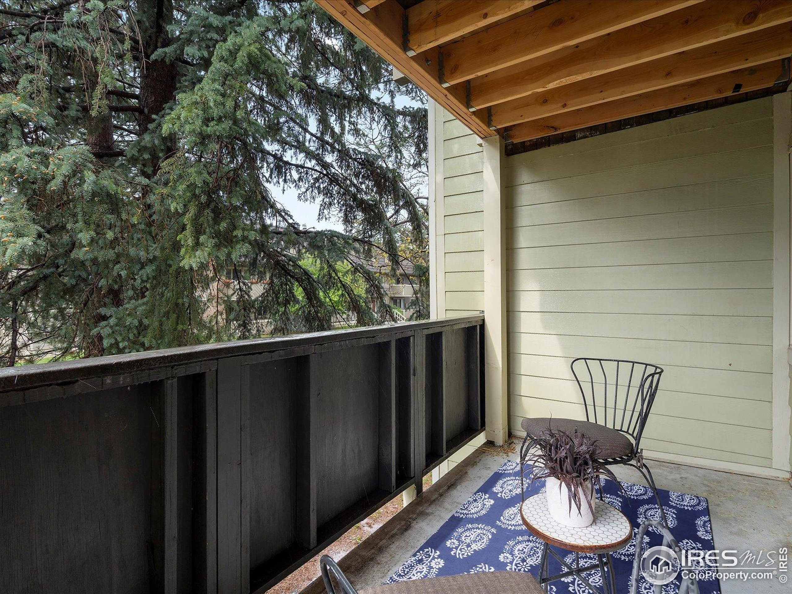 3335 Chisholm Trl 202