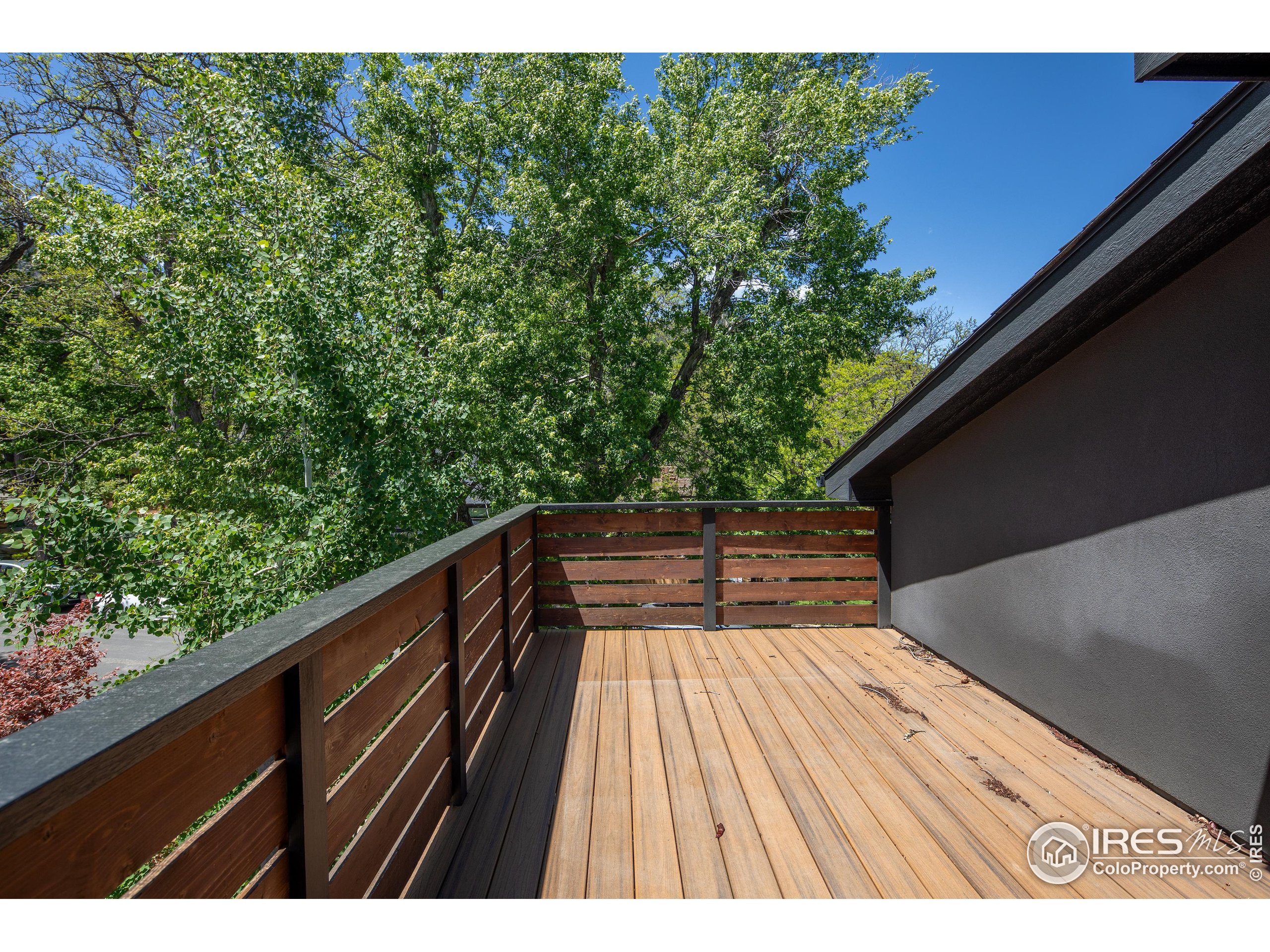 788 Grant Pl