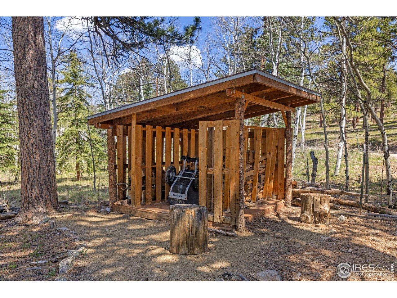 3497 Coal Creek Canyon Dr 30