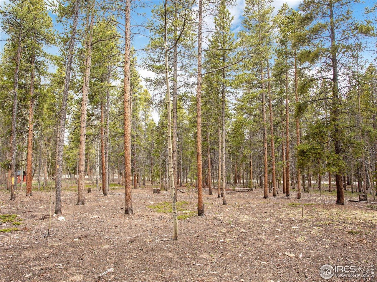 0 Lodgepole Dr
