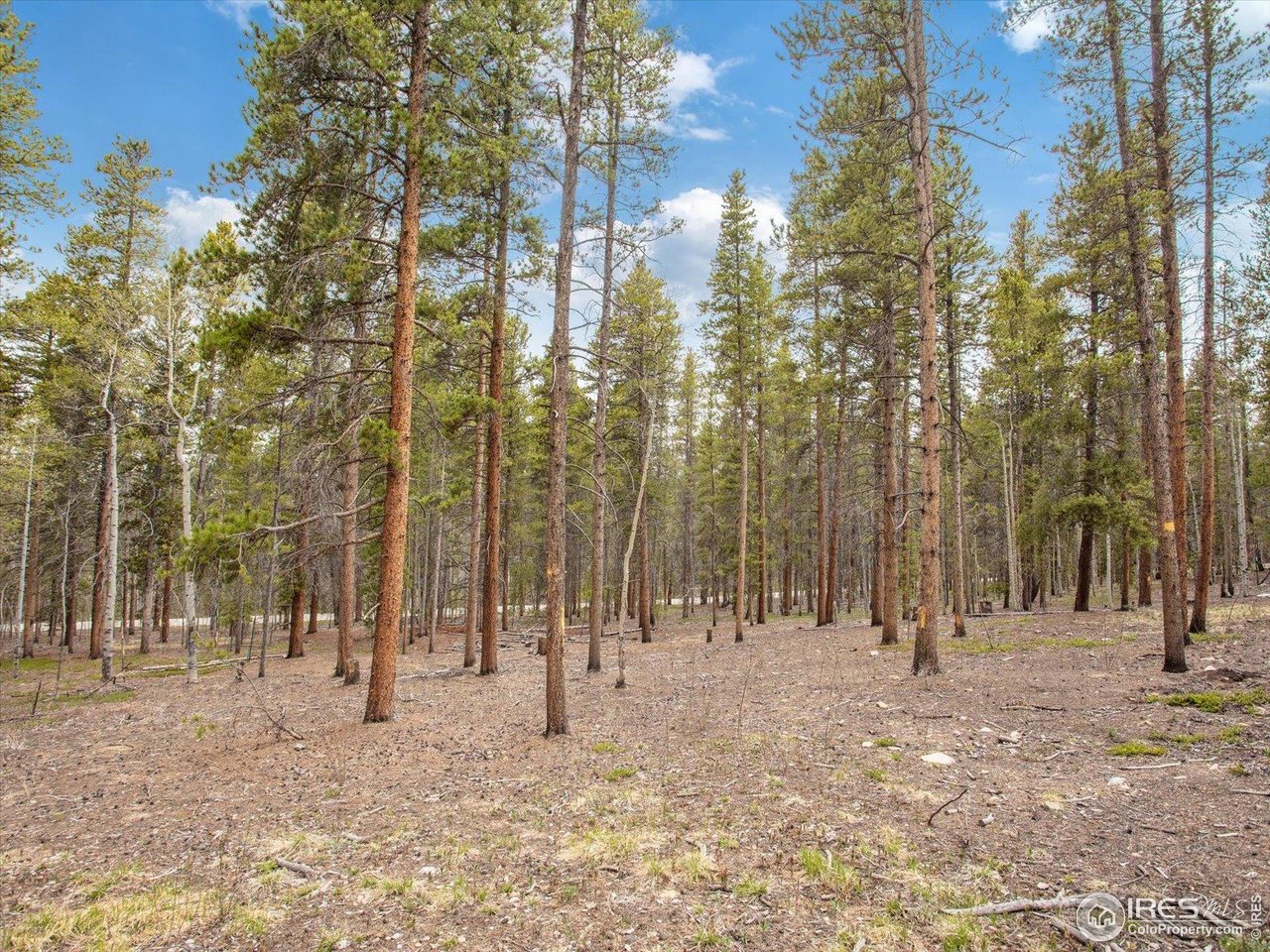 0 Lodgepole Dr
