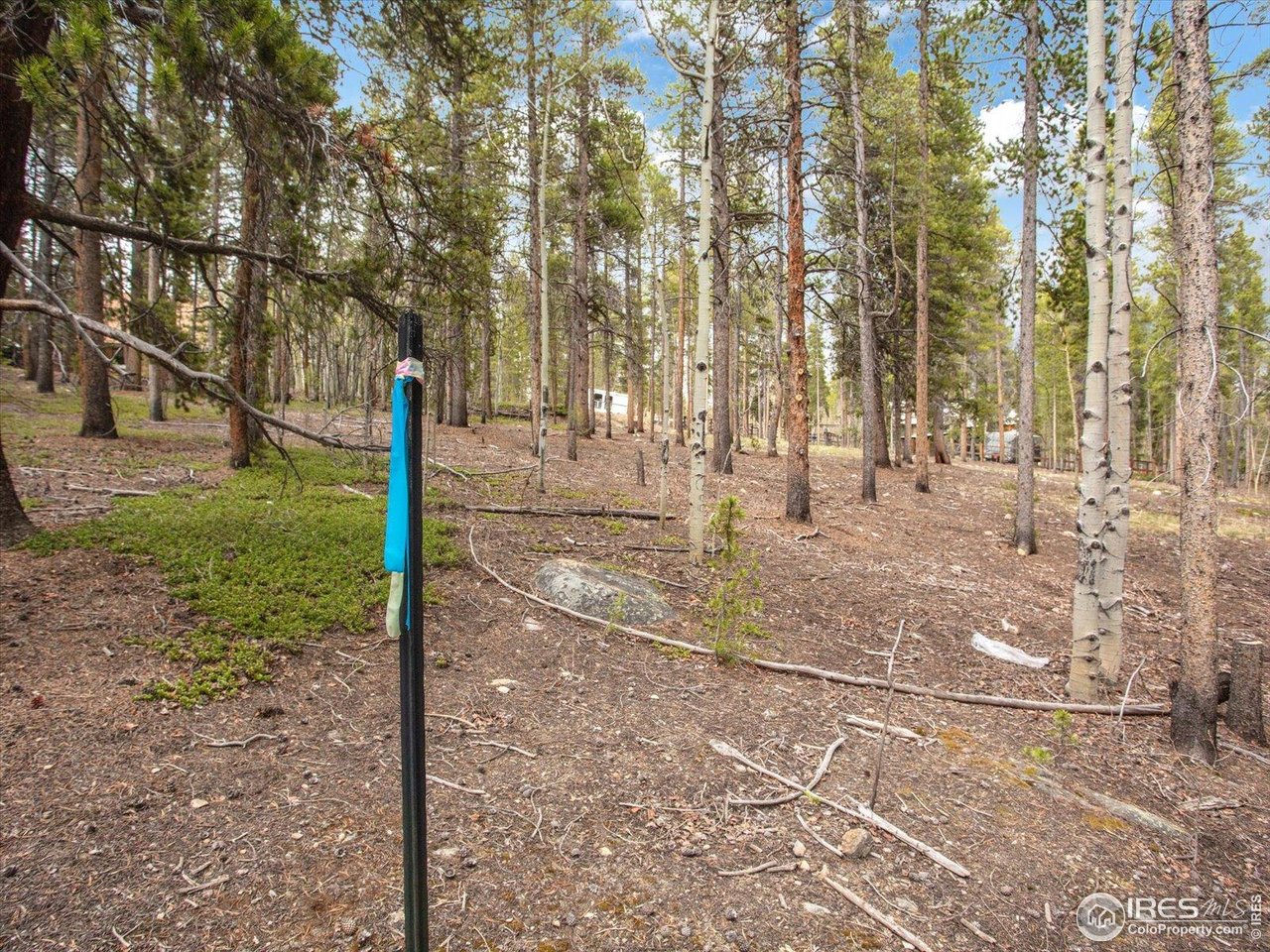 0 Lodgepole Dr