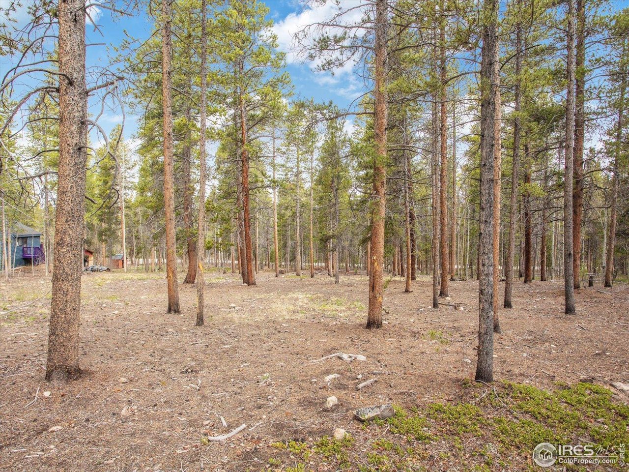0 Lodgepole Dr