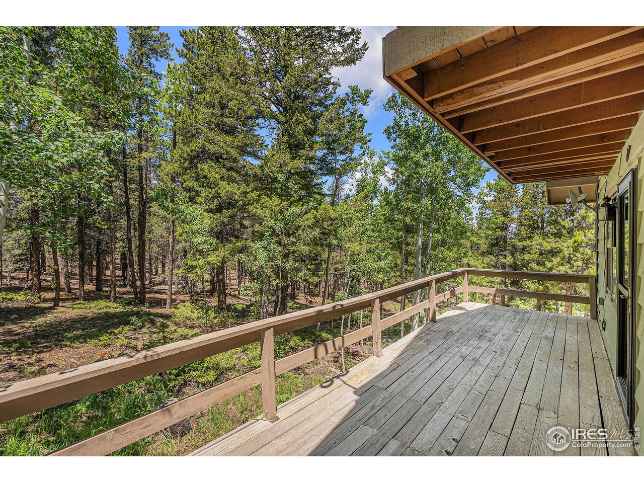 147 Saint Vrain Trl