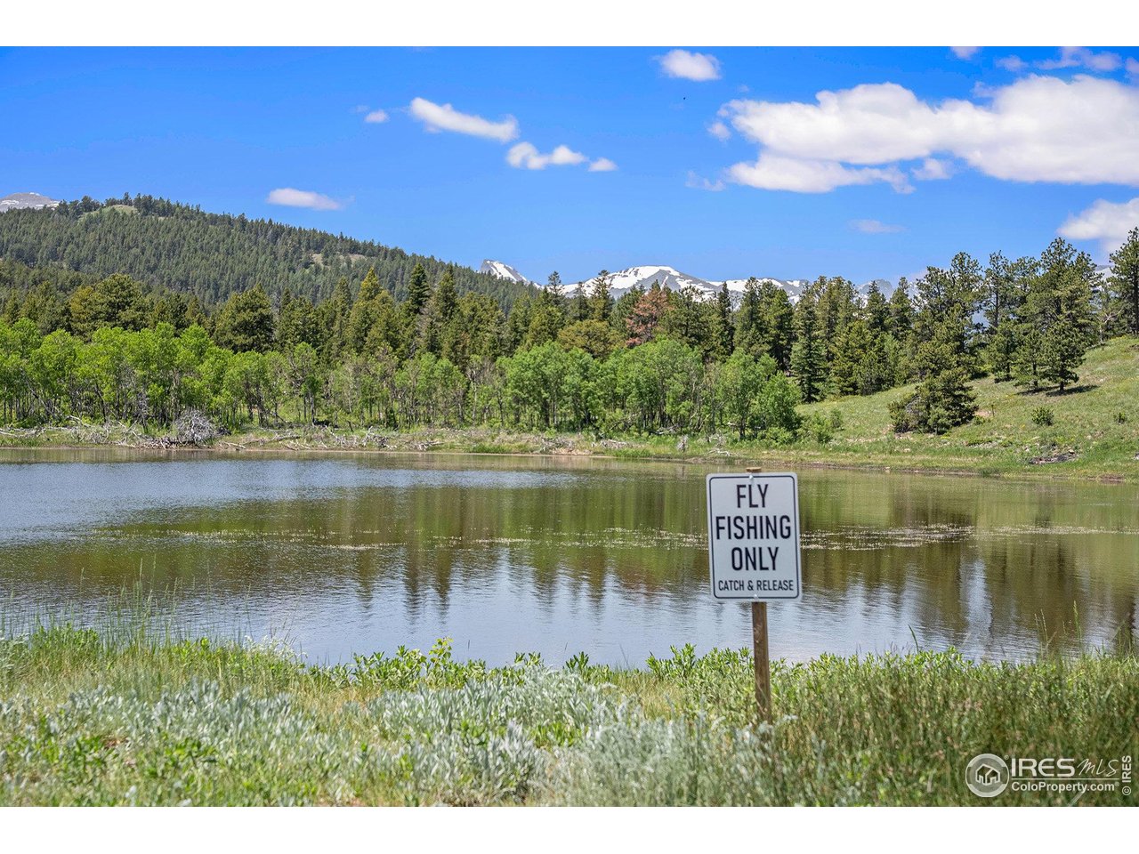 147 Saint Vrain Trl