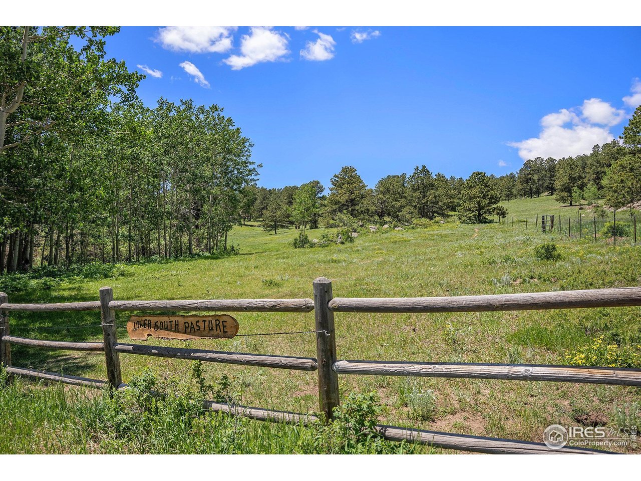 147 Saint Vrain Trl
