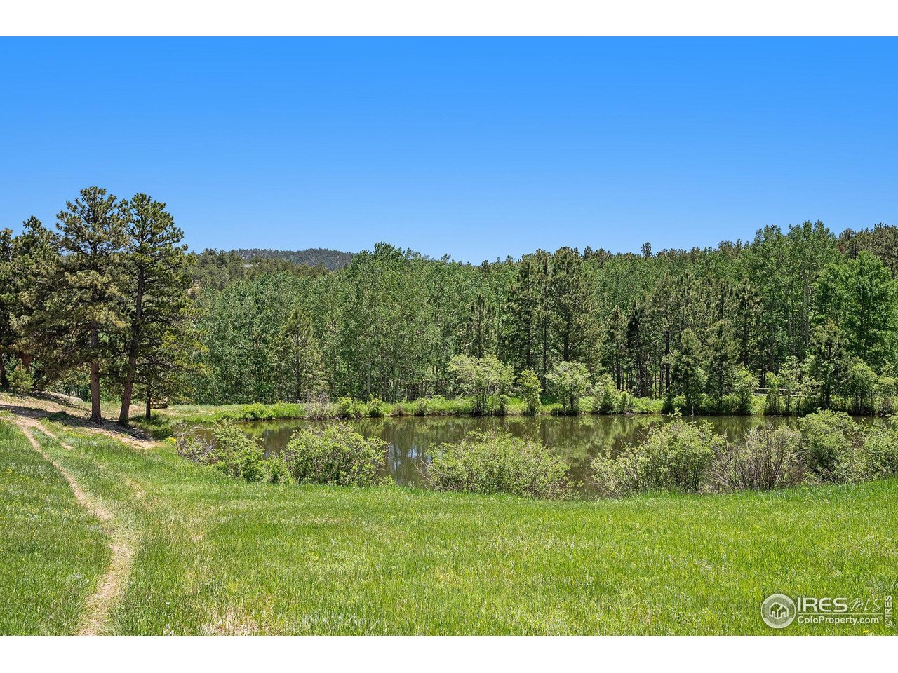 147 Saint Vrain Trl