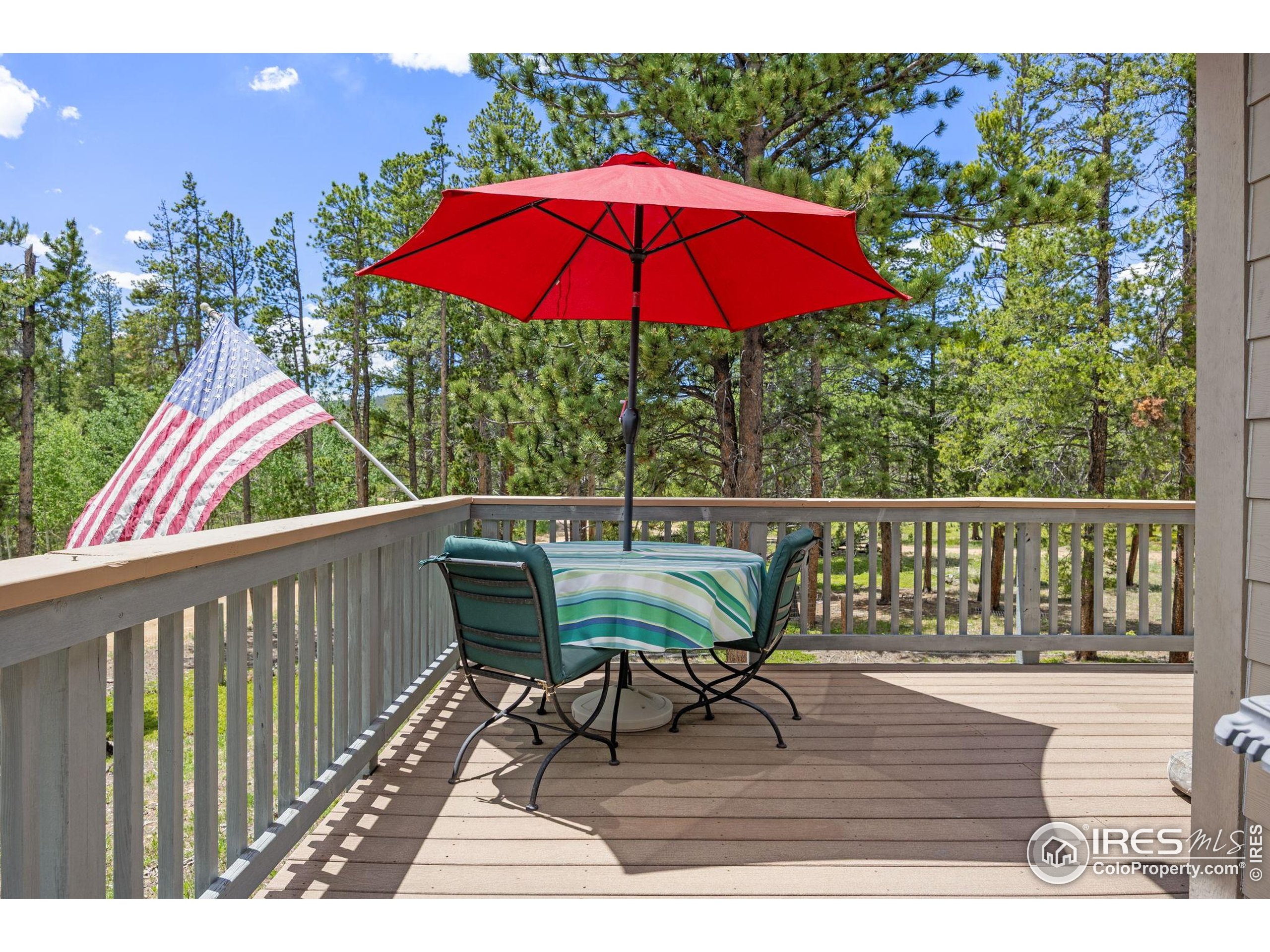 21 Shoshoni Camp Rd