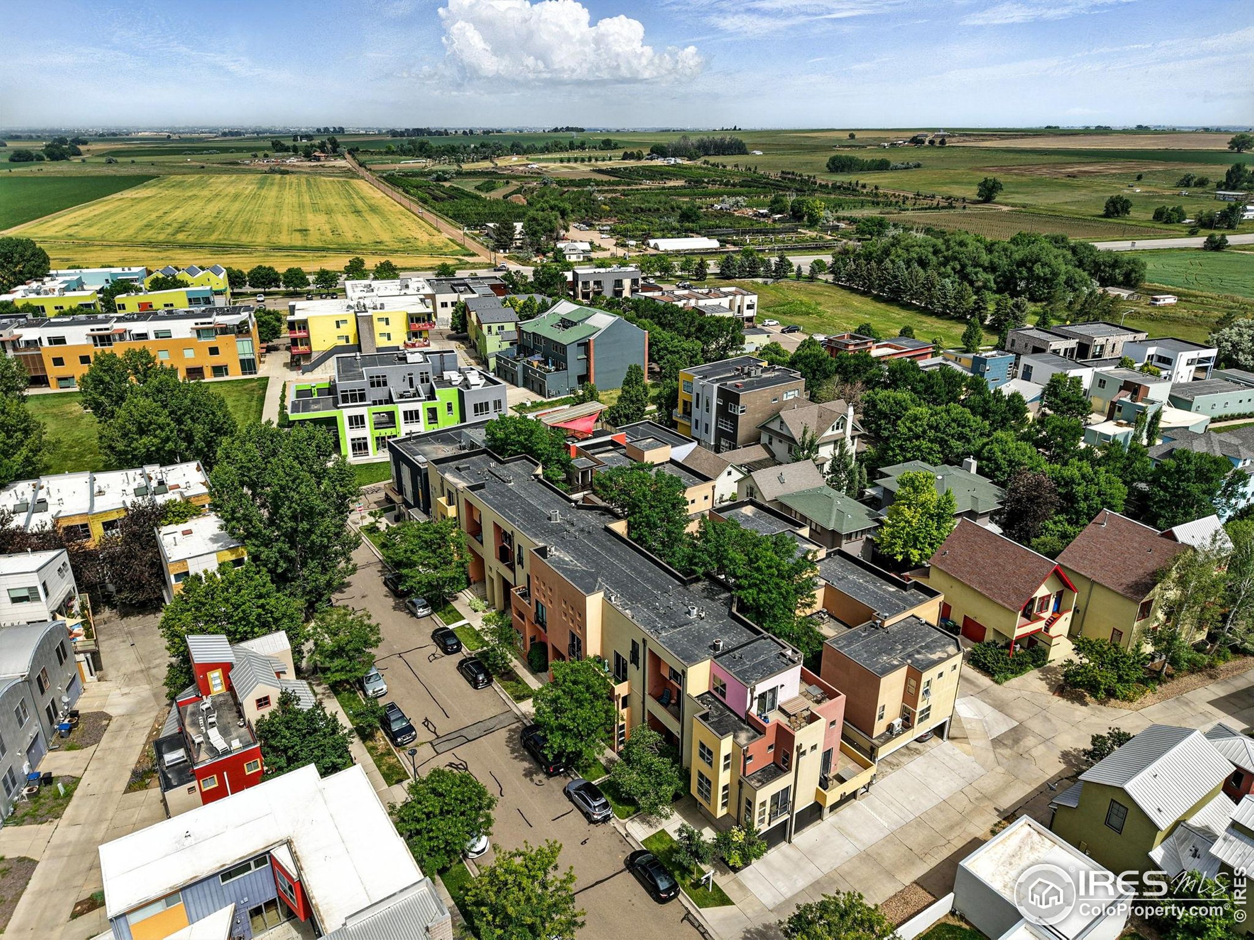 801 Confidence Dr 15