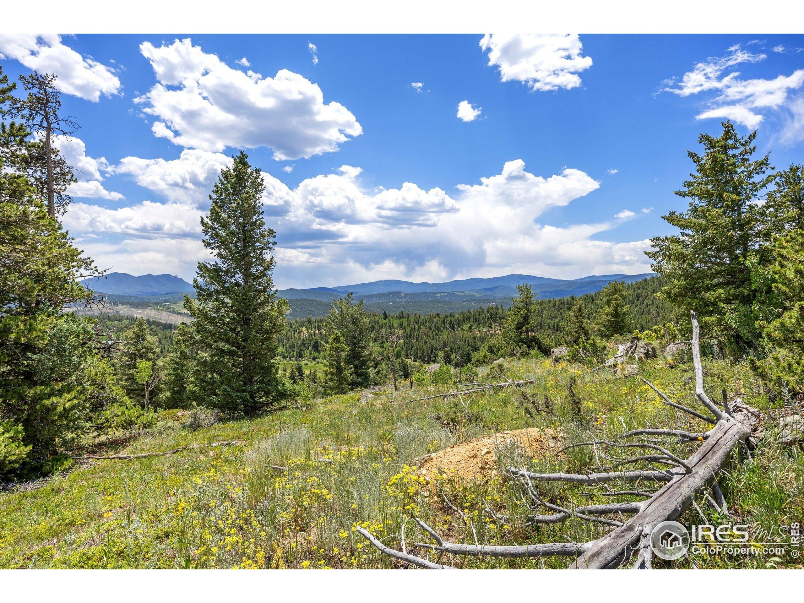 1568 County Road 103