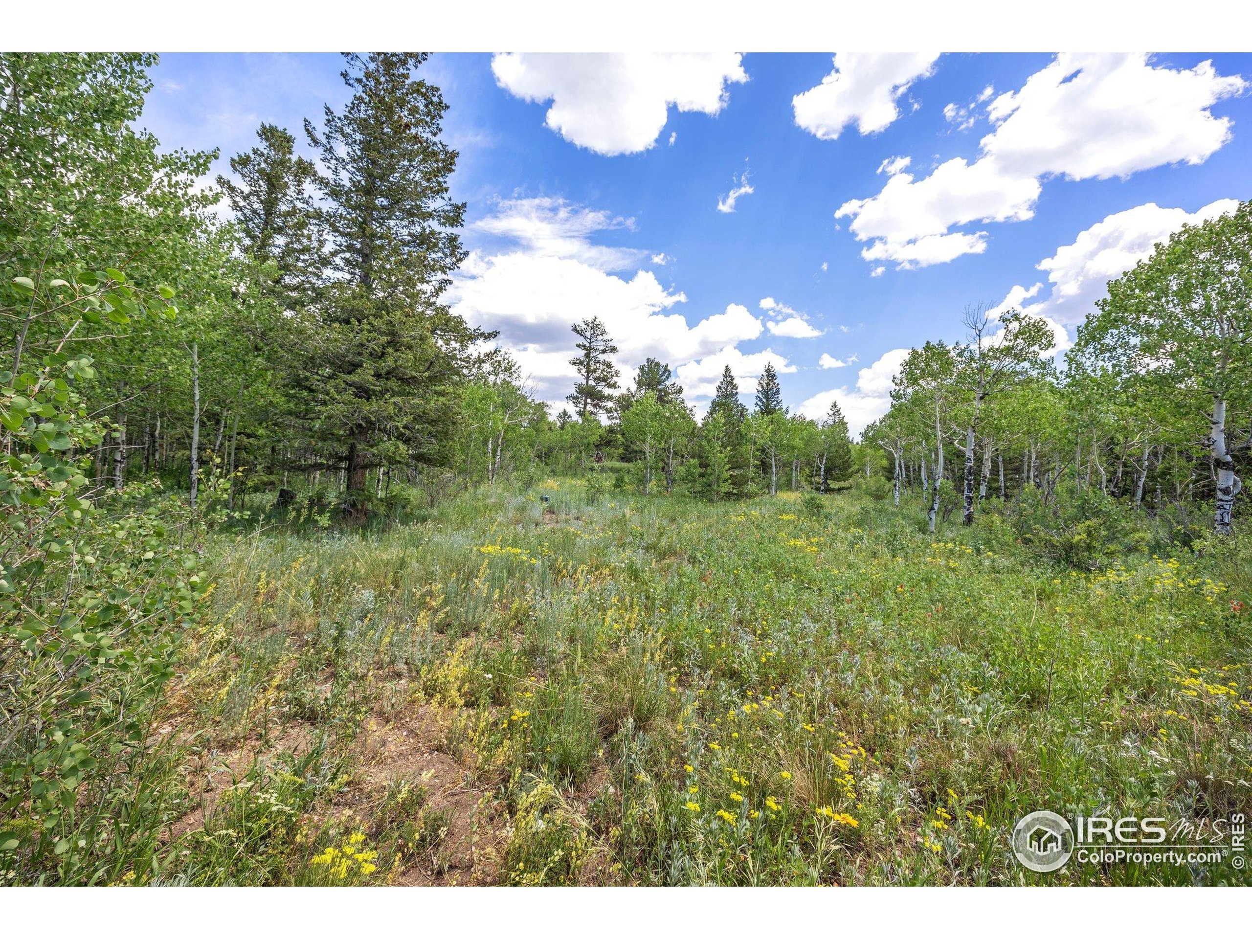 1568 County Road 103