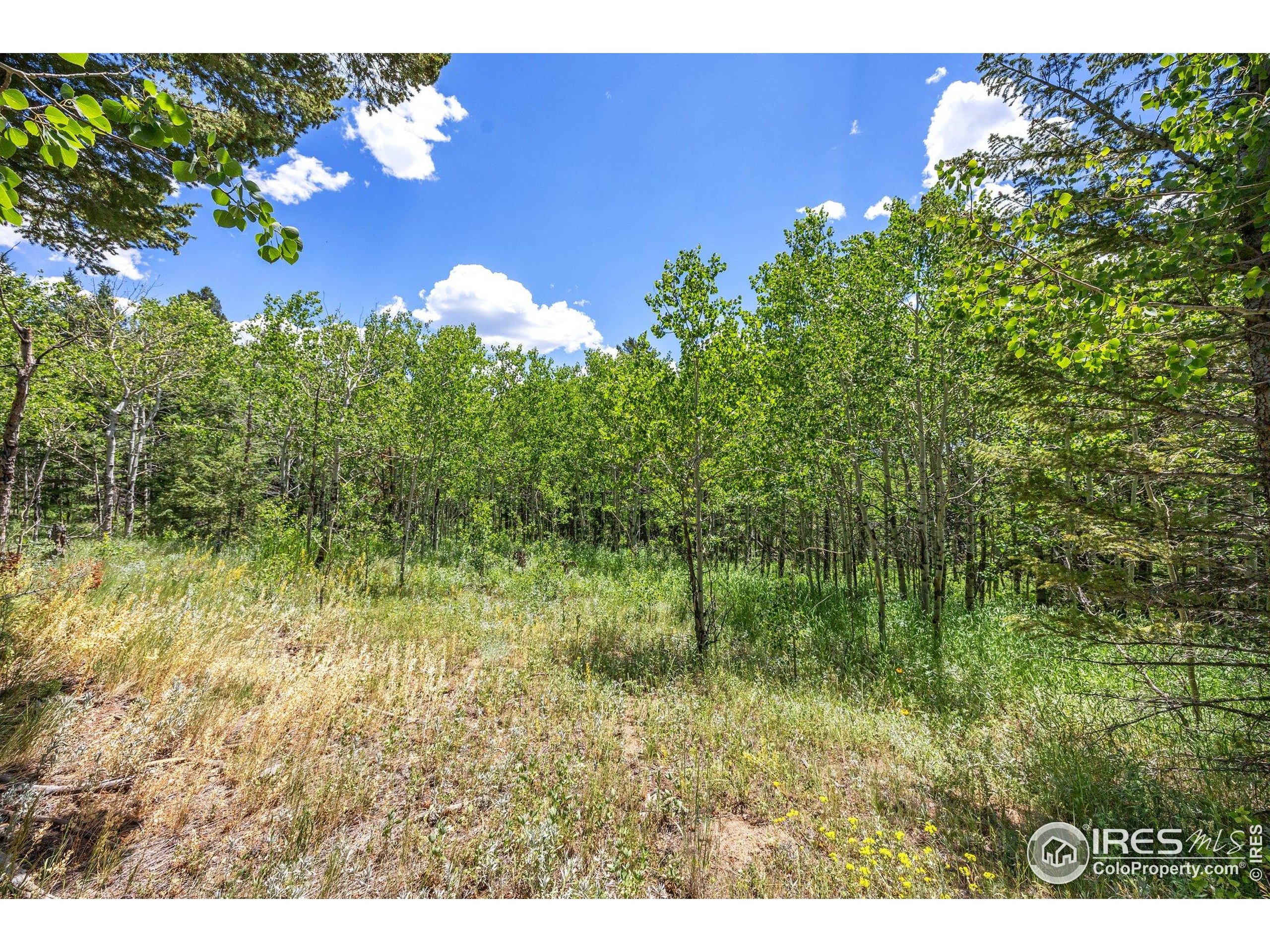 1568 County Road 103