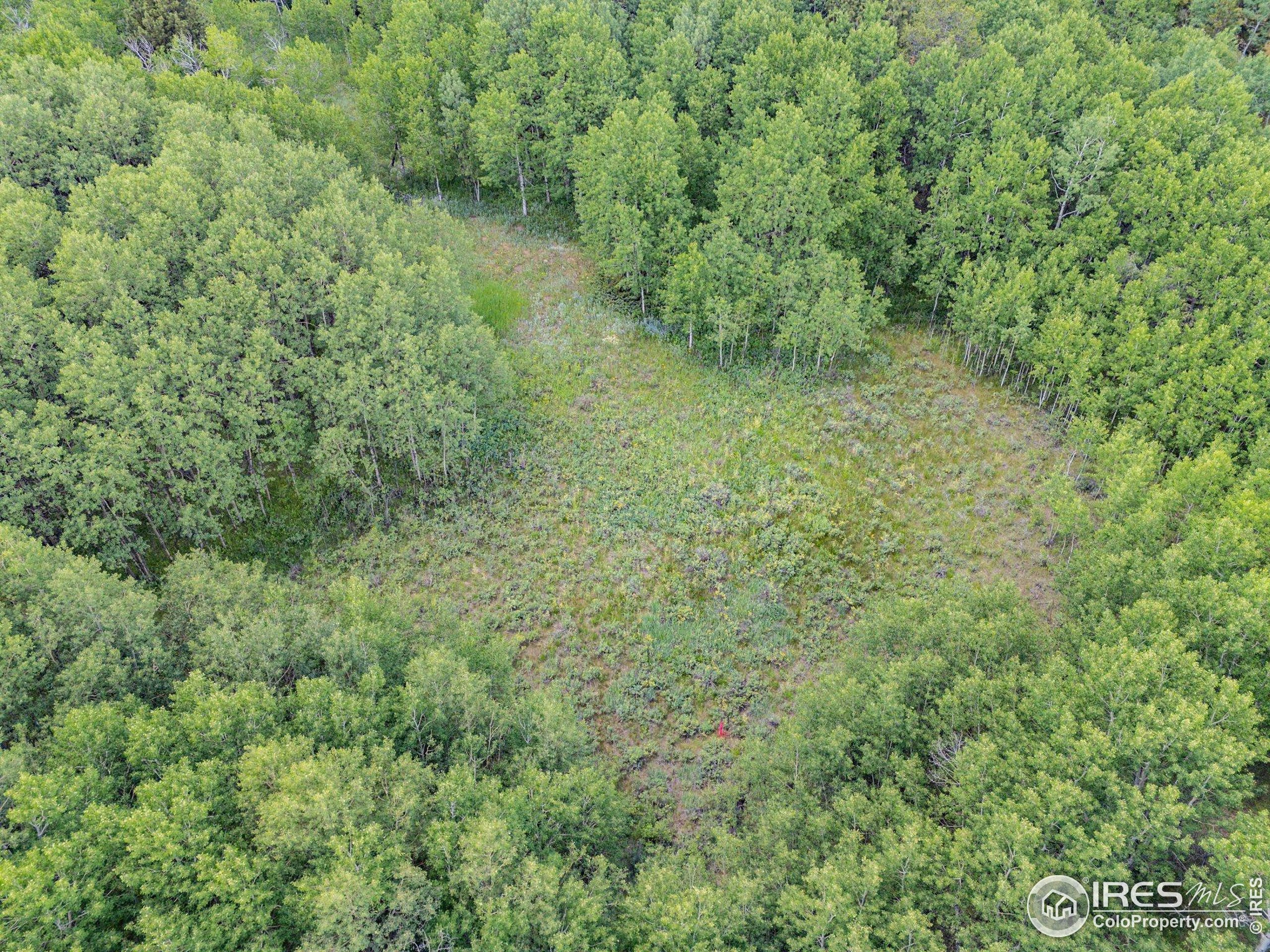 1568 County Road 103