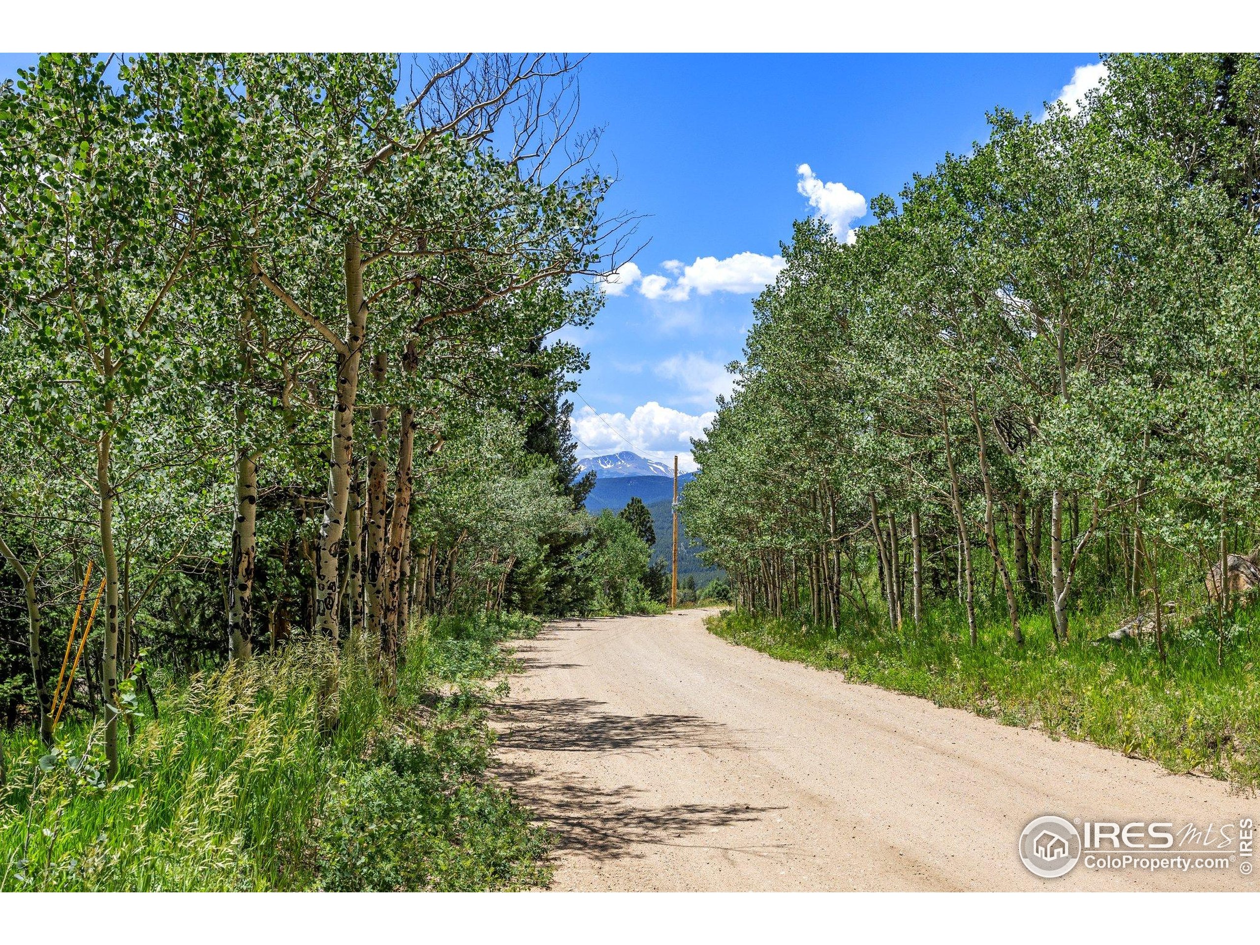 1568 County Road 103