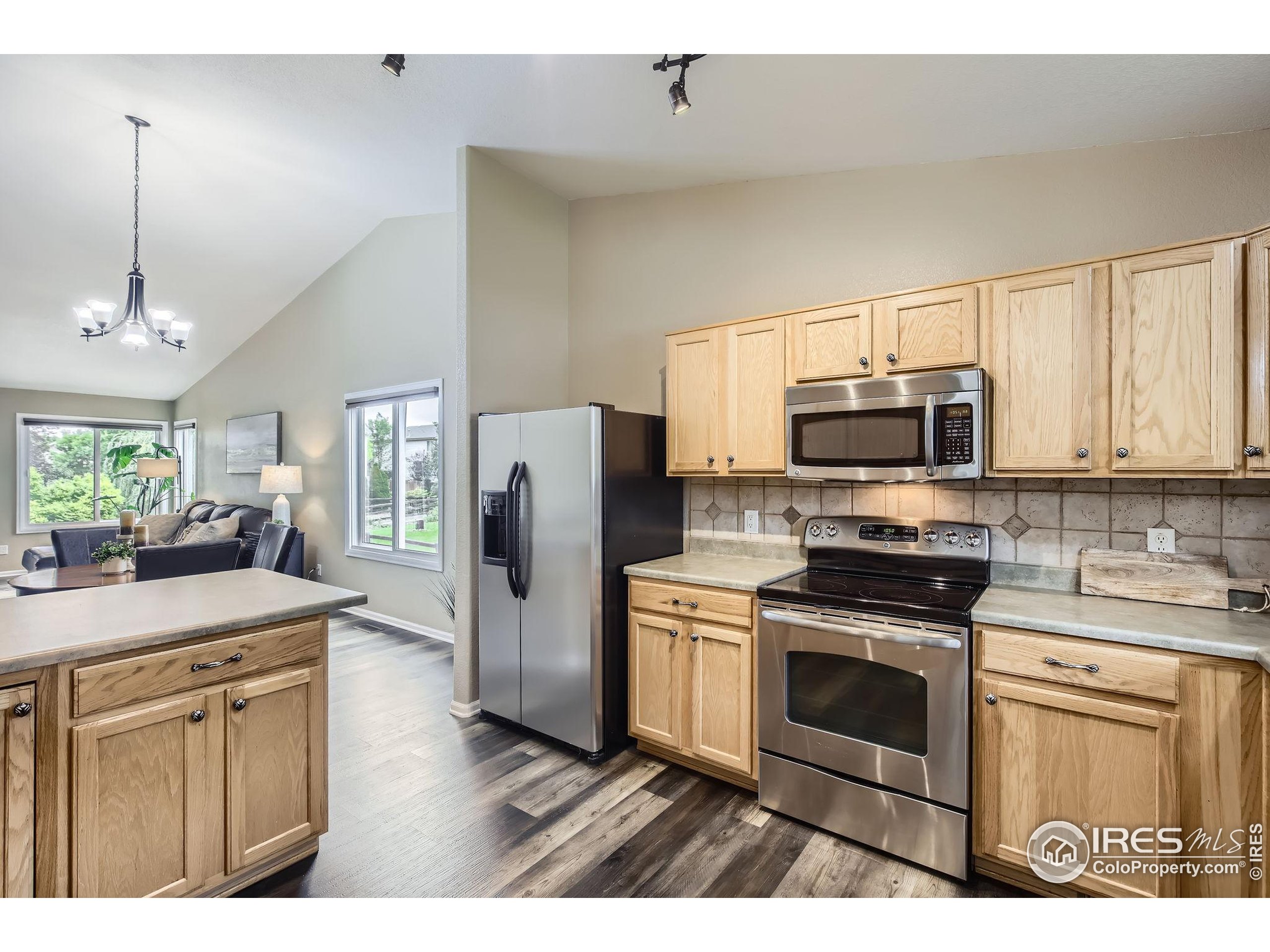 3705 Cheetah Dr