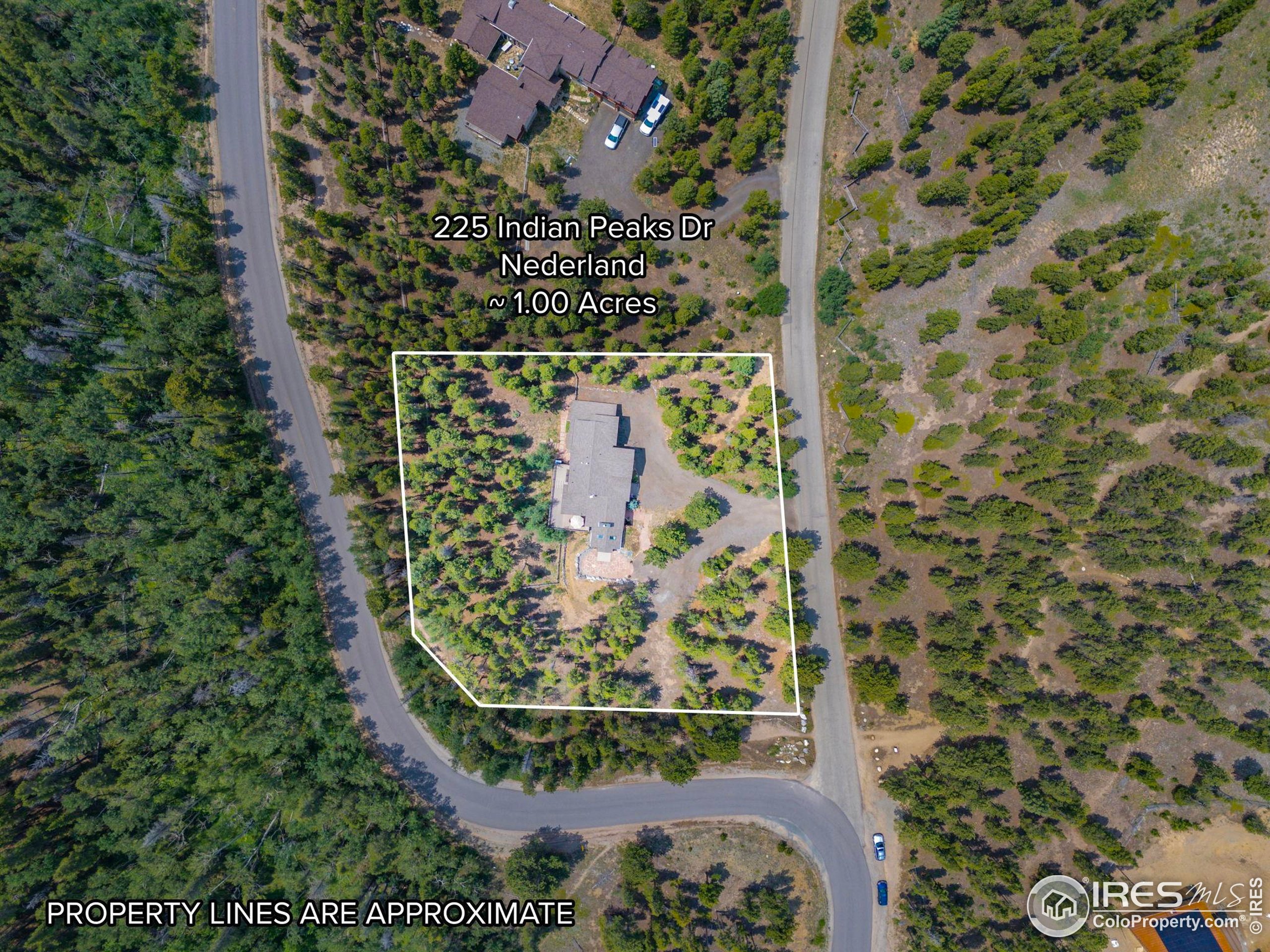 225 Indian Peaks Dr