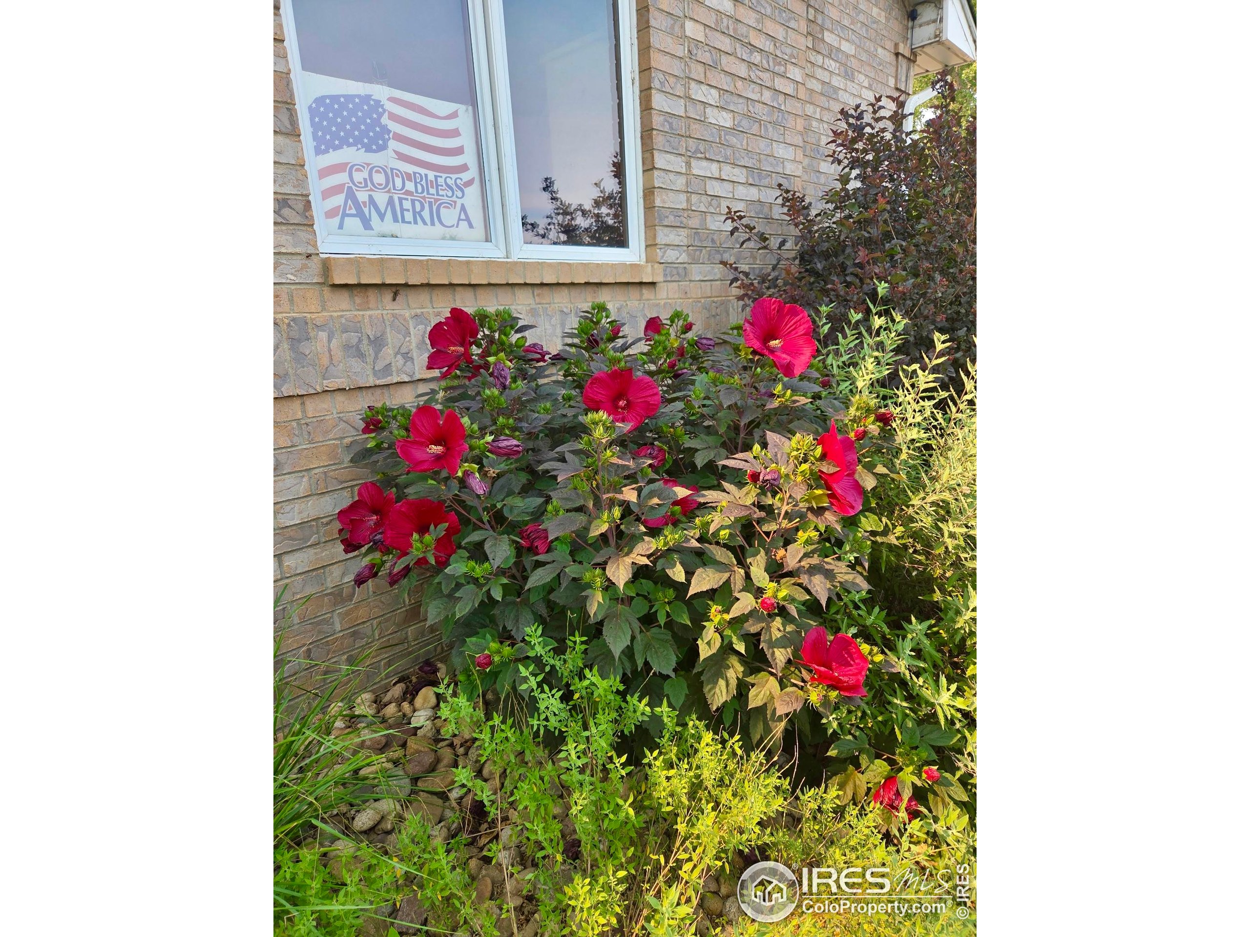 115 Grand View Dr
