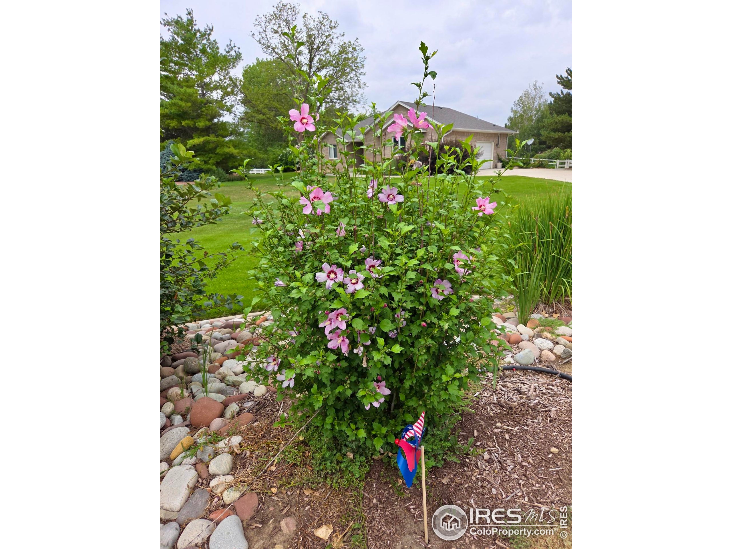 115 Grand View Dr