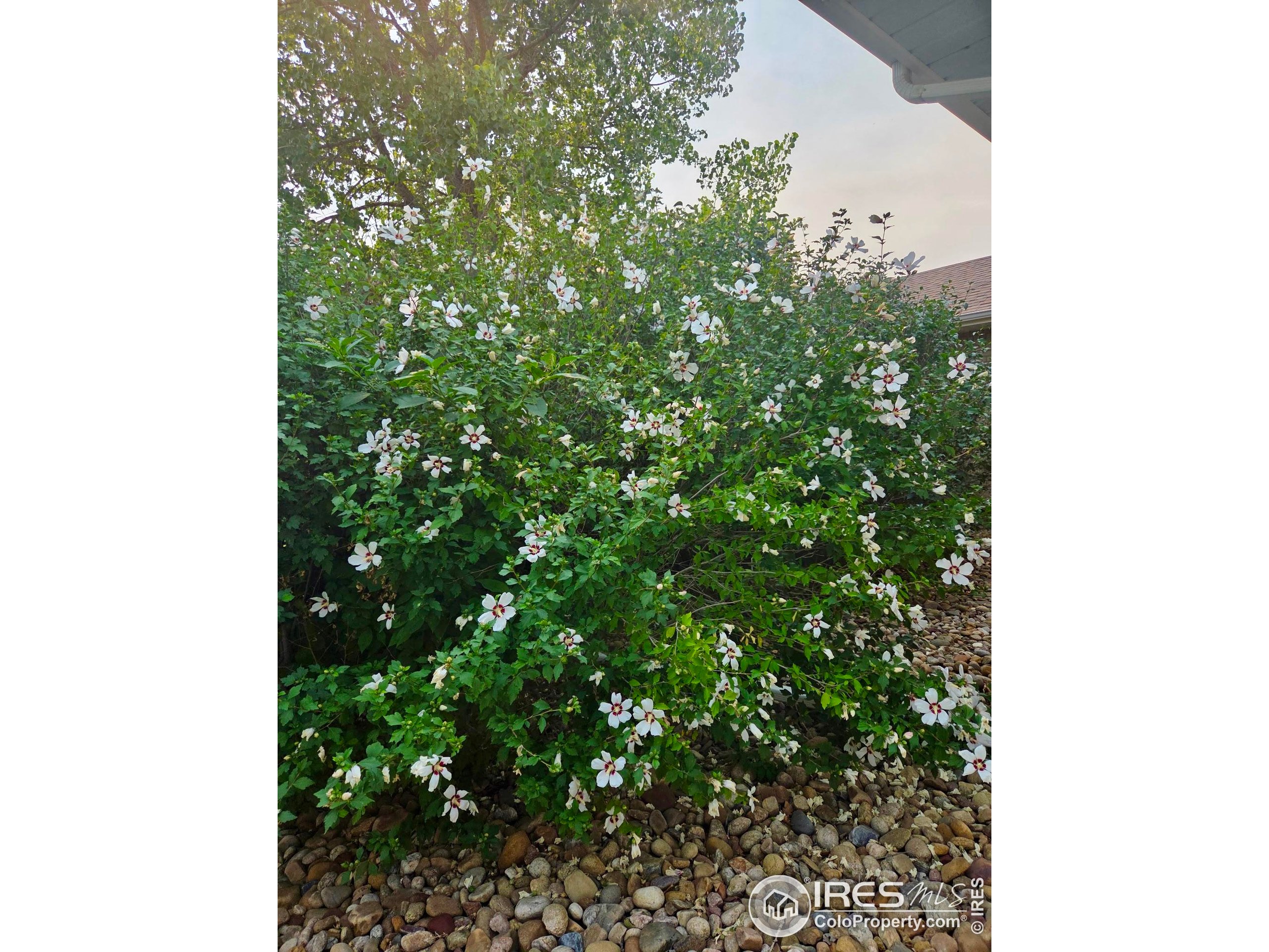 115 Grand View Dr