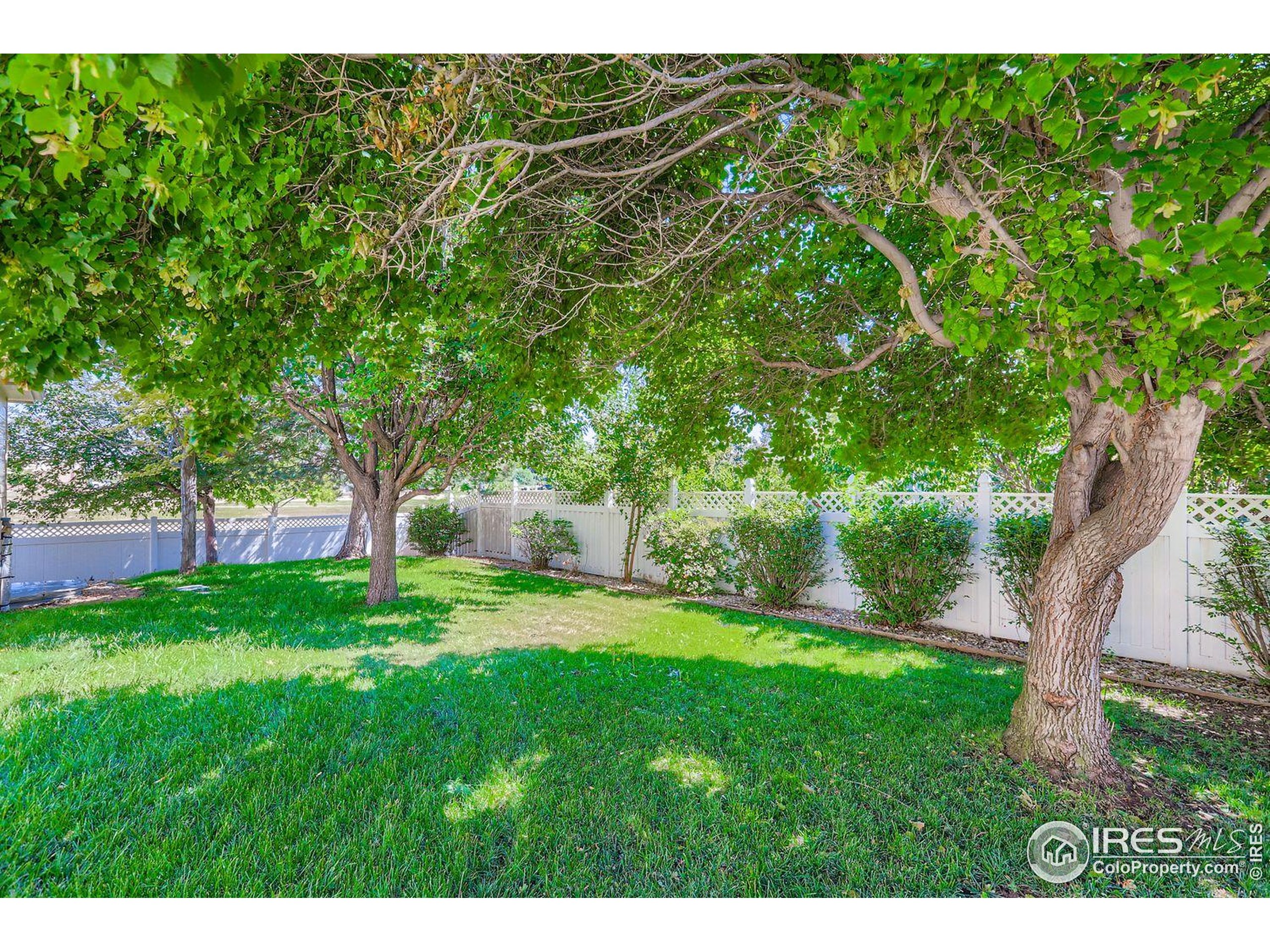 310 Bein St Berthoud