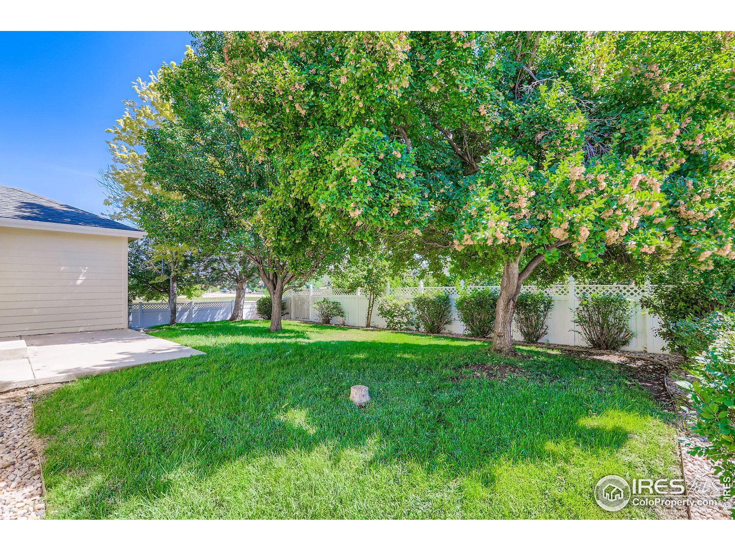 310 Bein St Berthoud