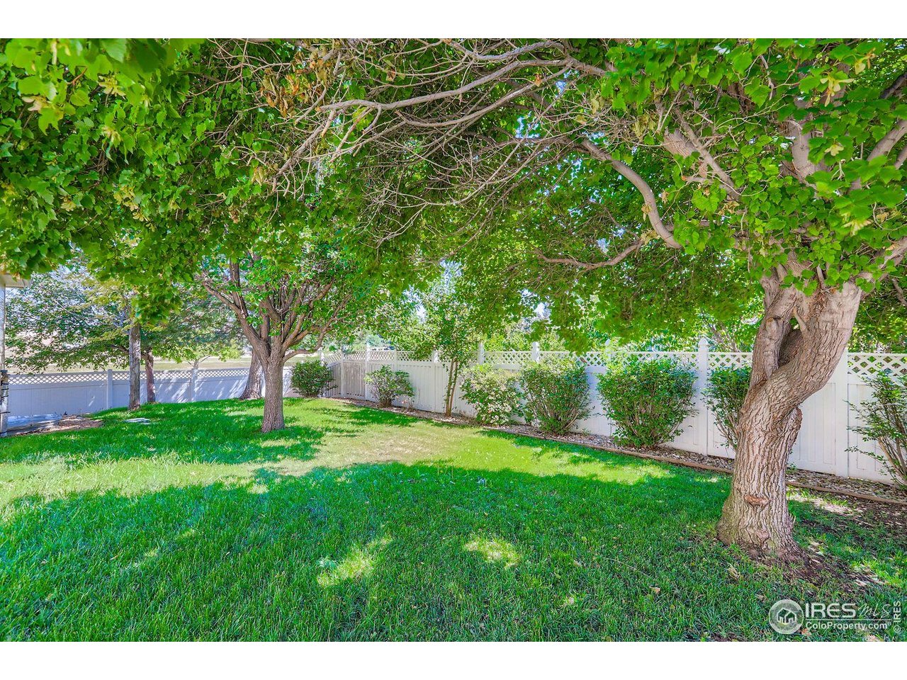 310 Bein St Berthoud