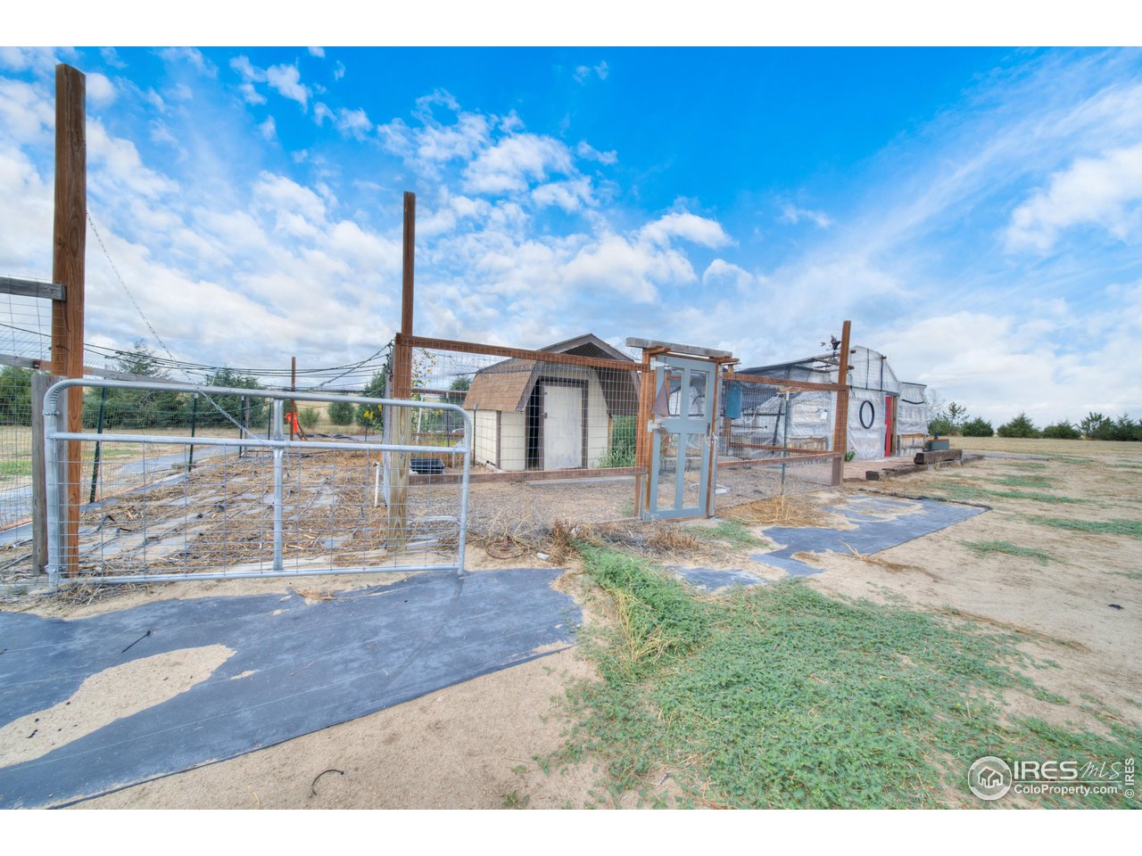 11451 County Road 3.75