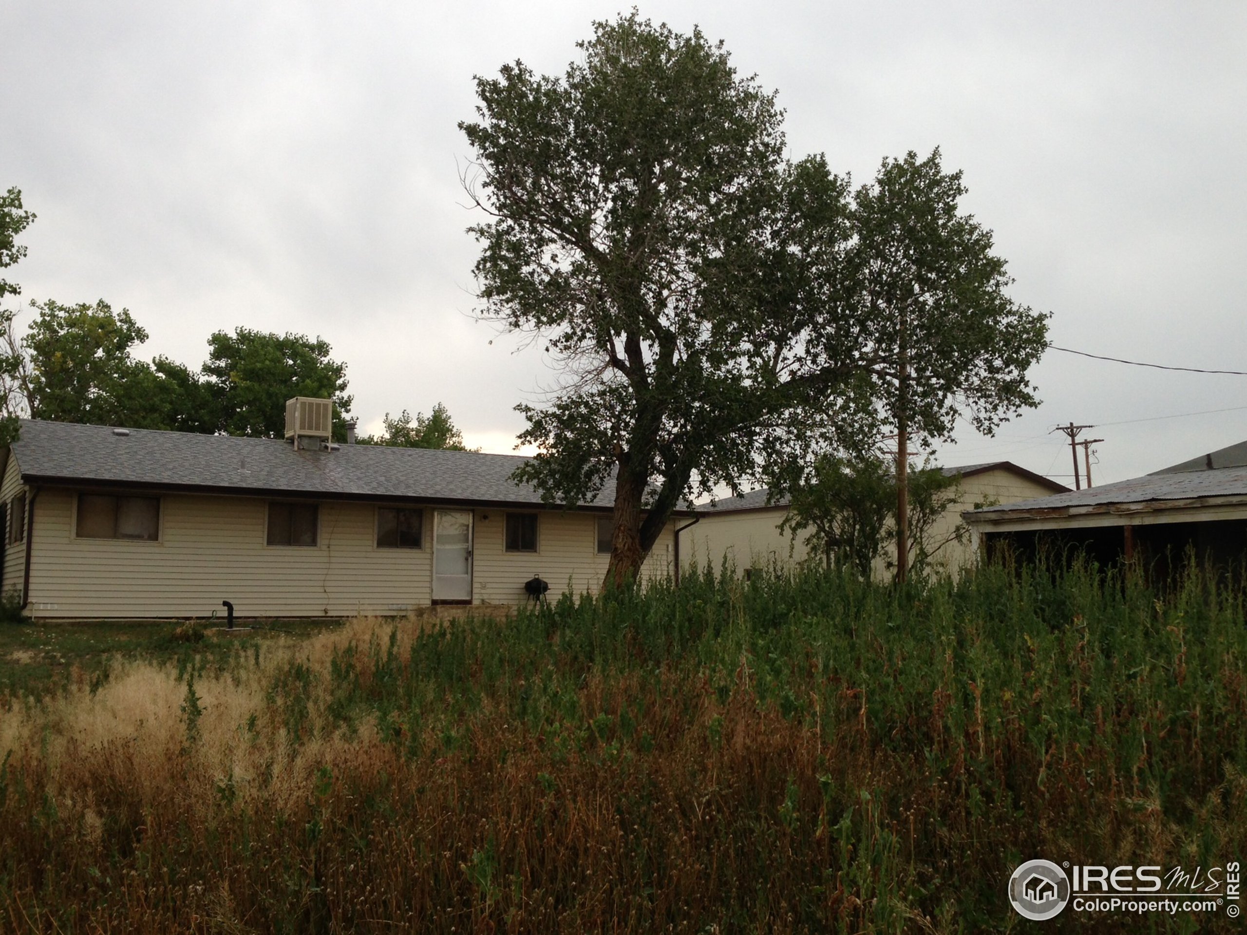 1451 Wildrose Dr